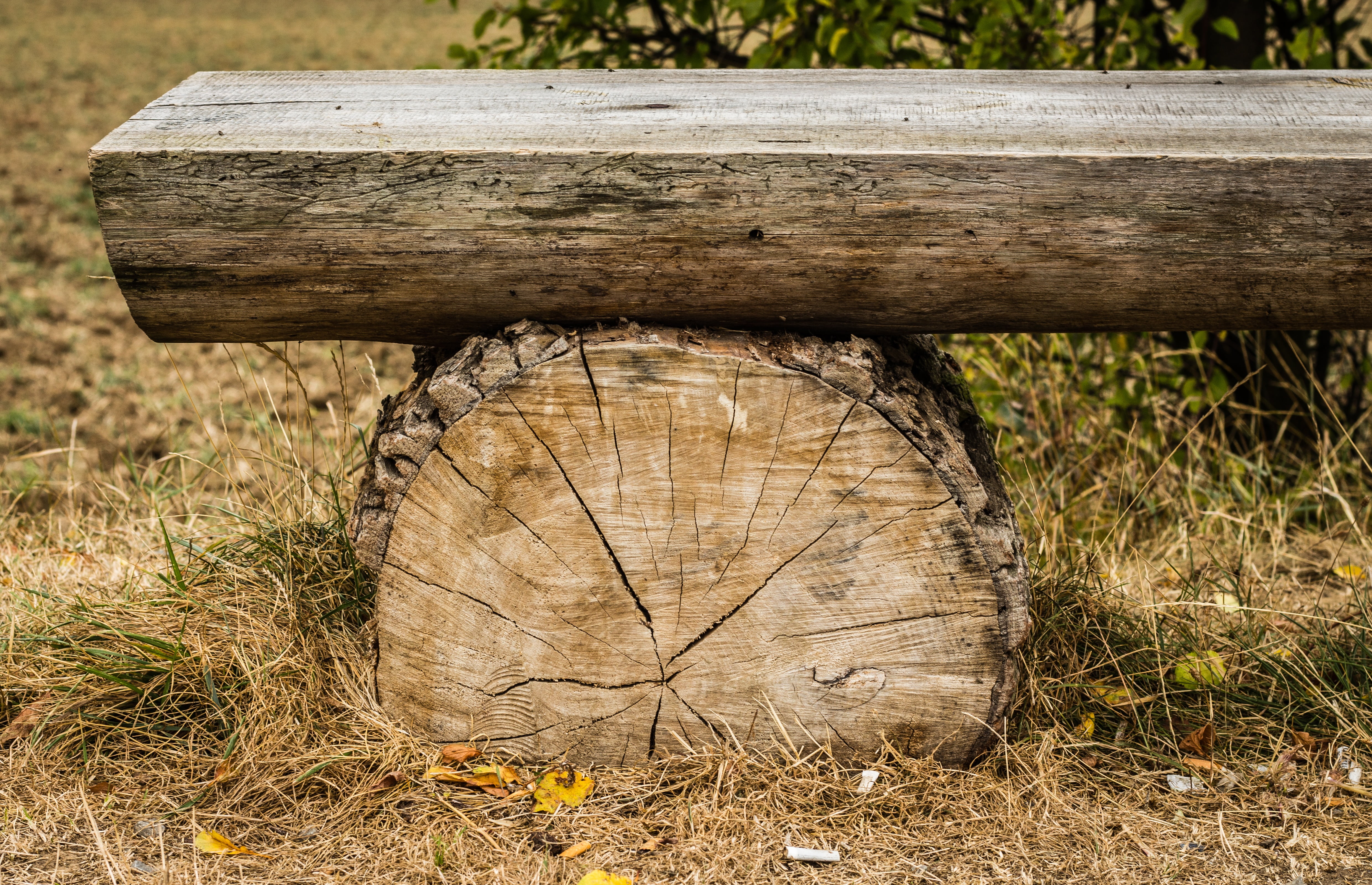 relaxation, forestry, wood - material, brown, log, hobby, outdoors, bark, lumber industry, architecture, board, plant, the growth of the, trees, life, 4K, HD Wallpaper