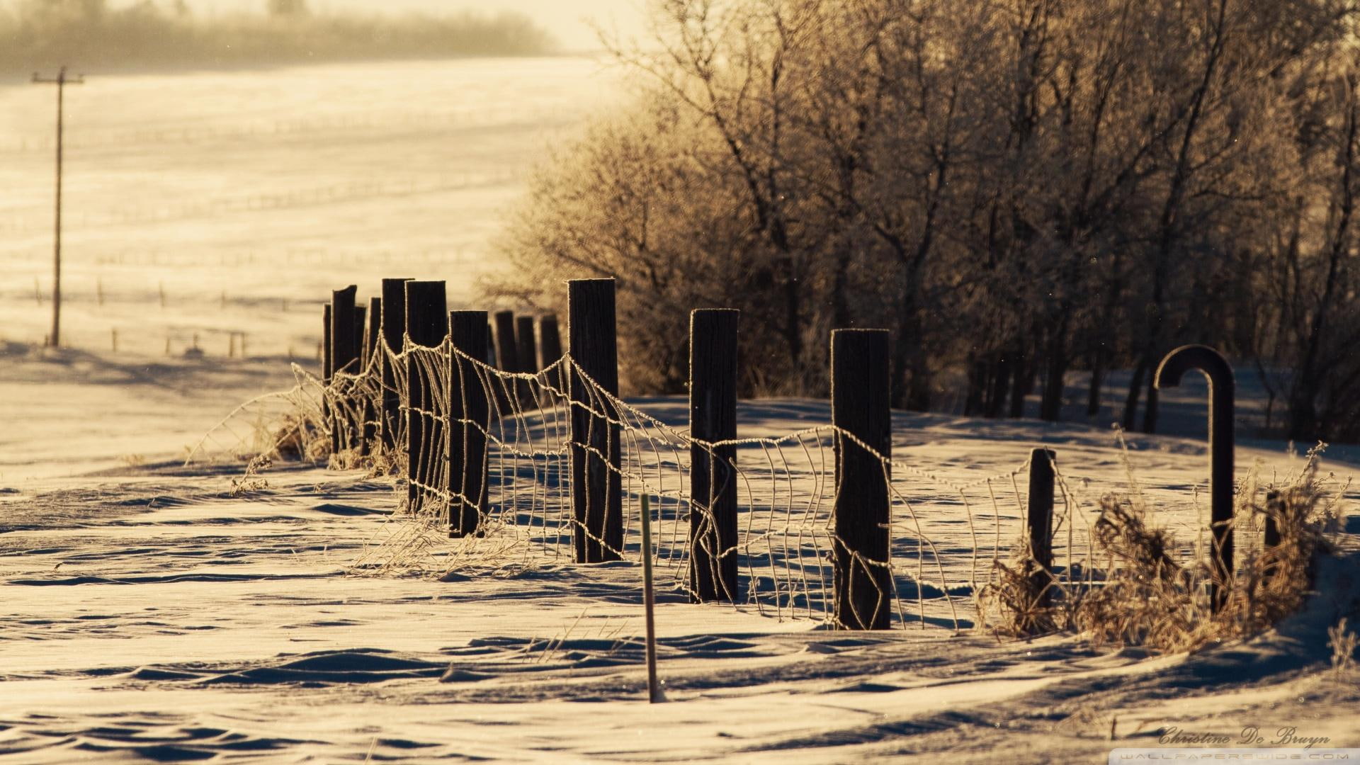 wire, field, fence, winter, wooden, 1080P, nature and landscapes, brown, trees, wintry, HD Wallpaper