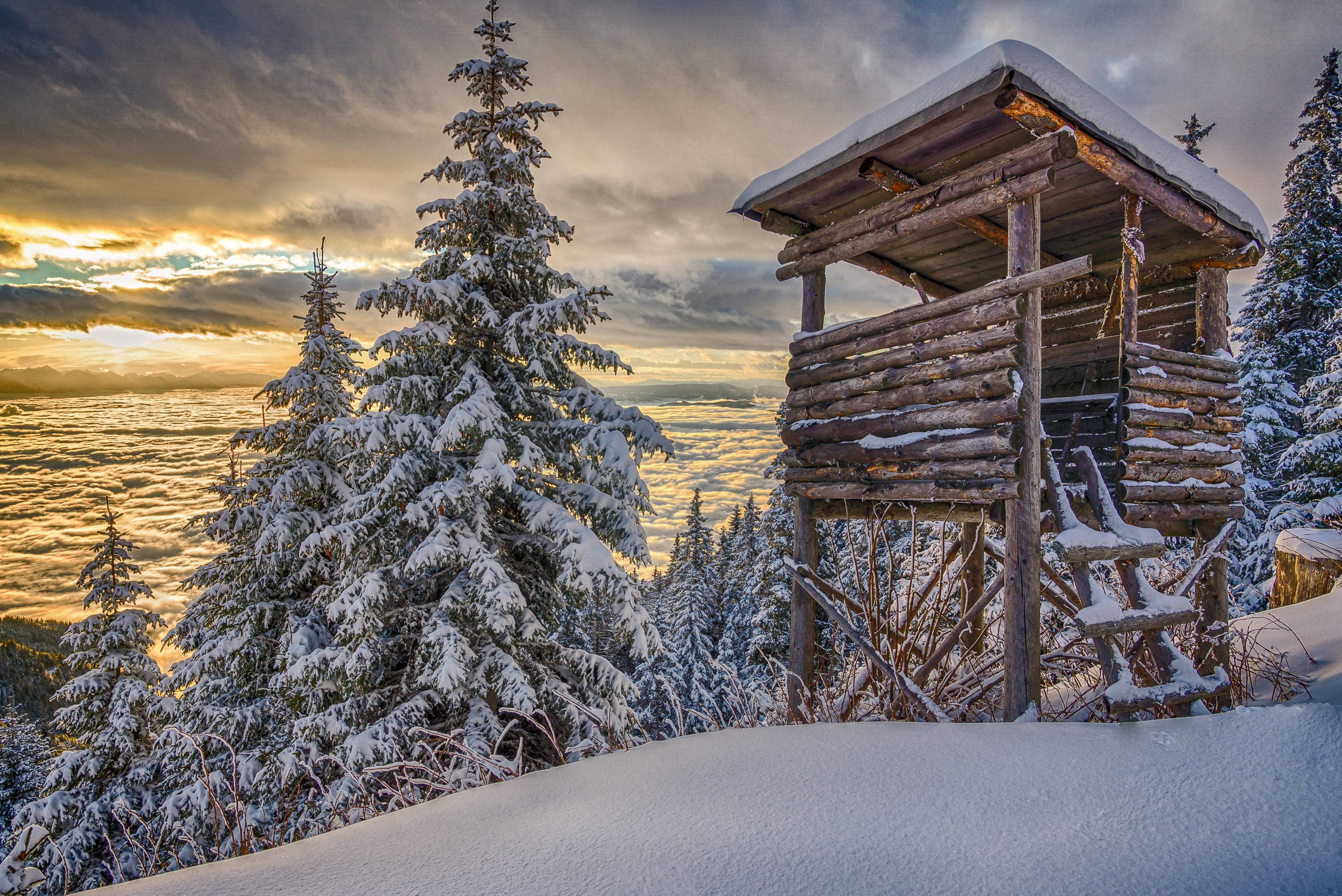 perch, cold temperature, snow, environment, plant, pine tree, house, winter mood, 4K, snowy, surface, nature, twilight, dramatic, forest, koralpe, hut, HD Wallpaper
