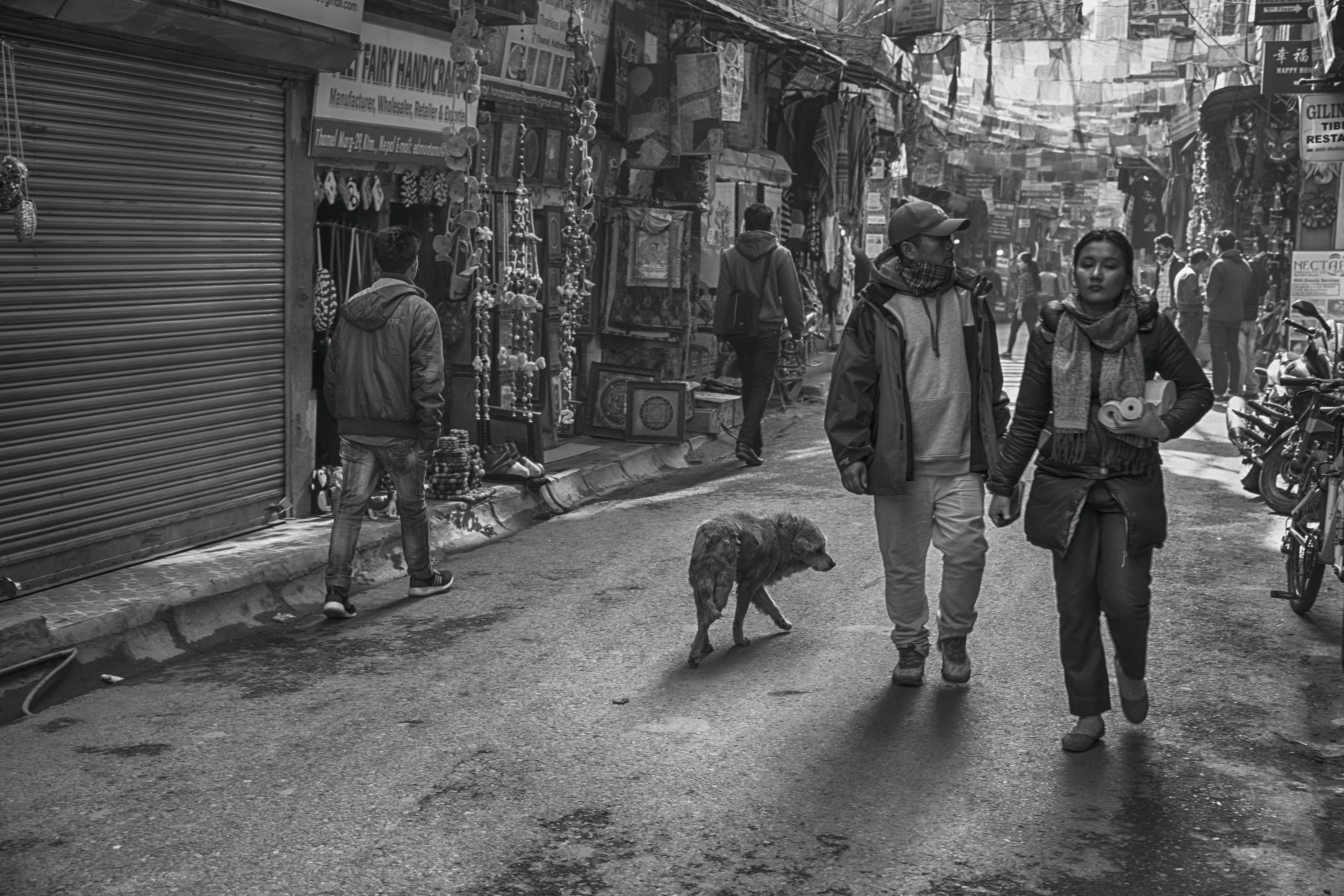 real people, nepal, thamel, one animal, domestic animals, vertebrate, kathmandu, dog, lonely, domestic, adult, walking, mammal, pet owner, lifestyles, men, HD Wallpaper