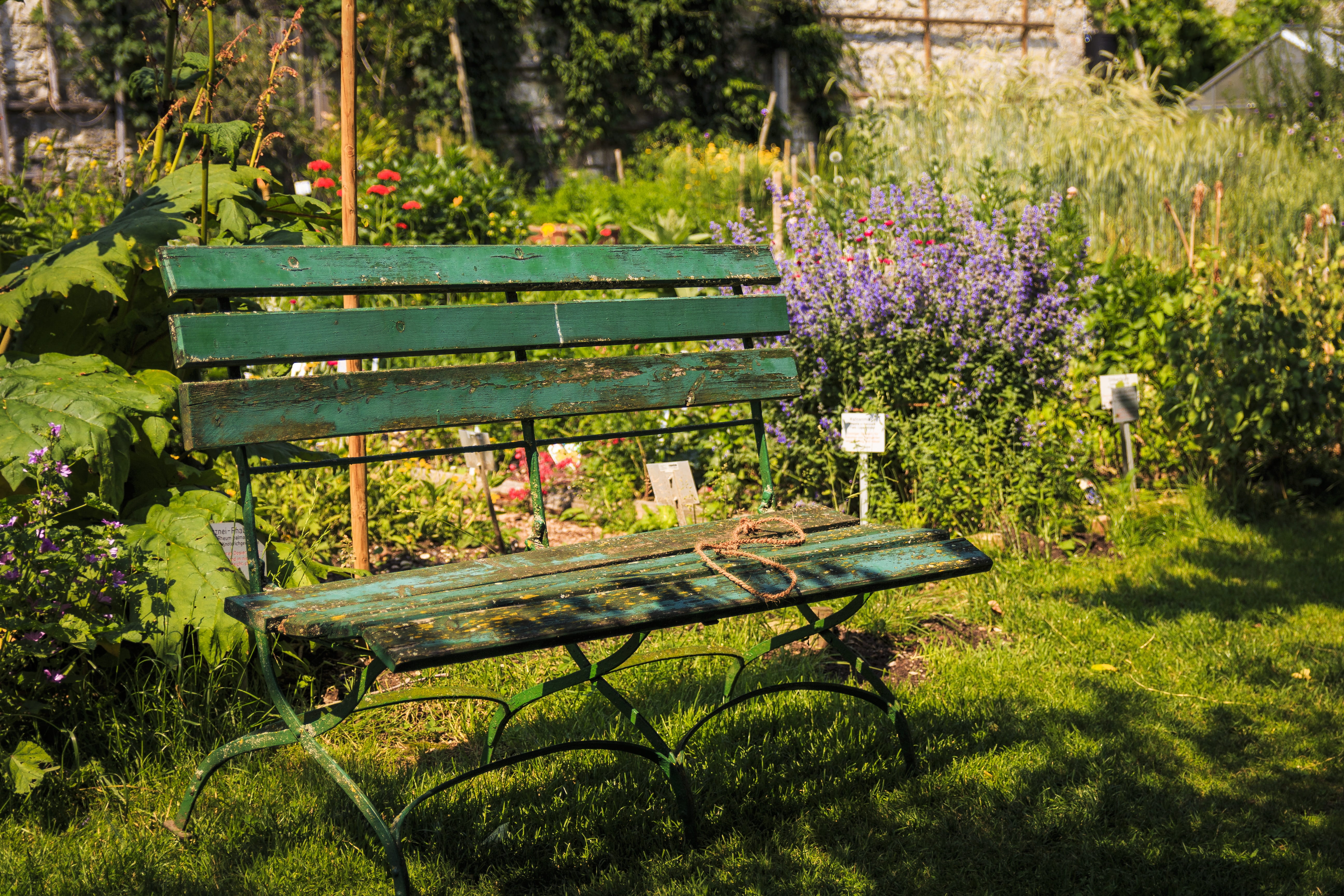 rustic, seat, park bench, grass, green, green color, recovery, benches, bank, wood - material, plant, purple, freshness, growth, bench, wood, tree, sunlight, HD Wallpaper