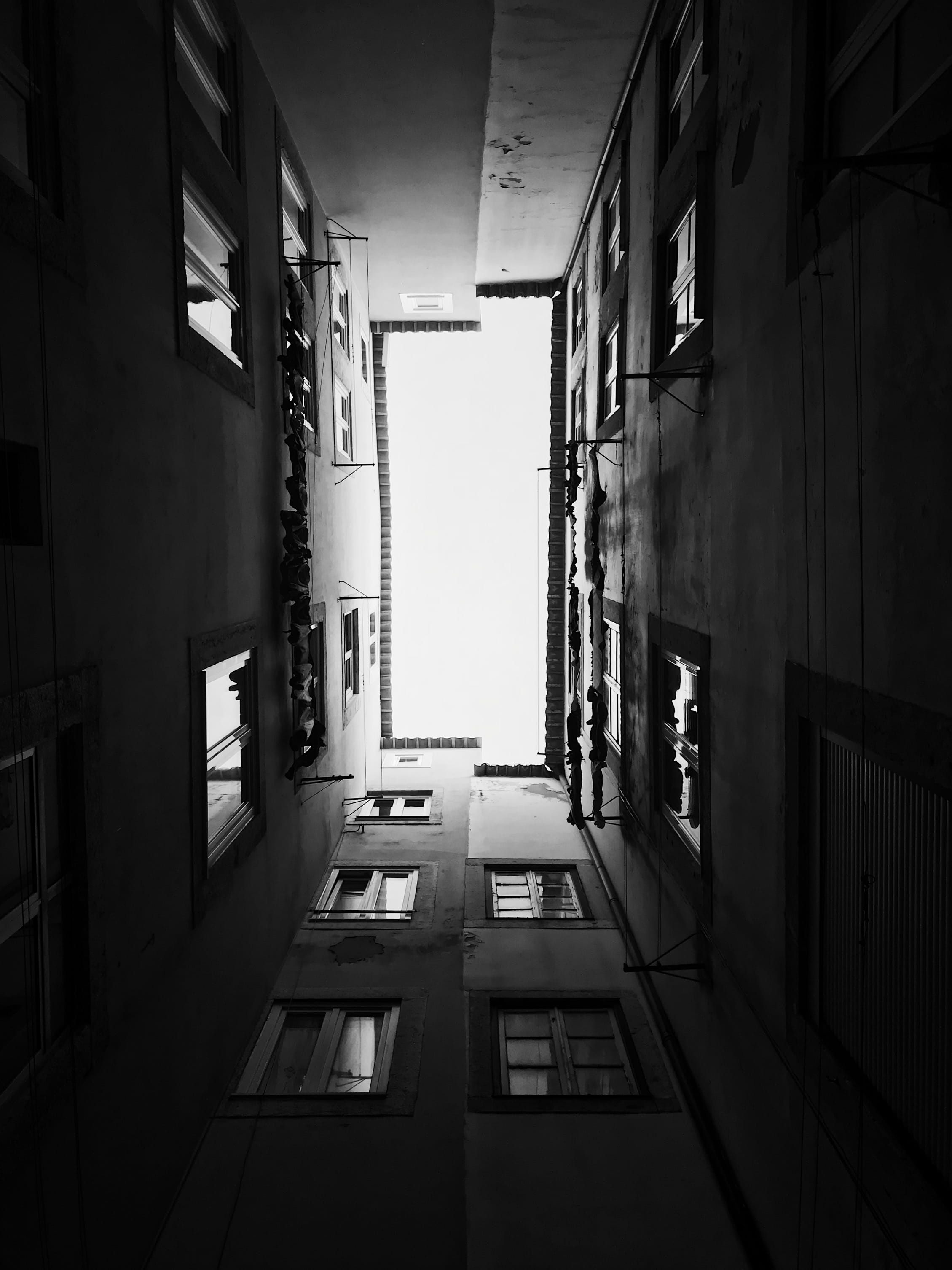 blackwhite, white, residential district, building, architecture, windows, apartment, black, 2K, wall - building feature, built structure, window, day, Phone HD Wallpaper