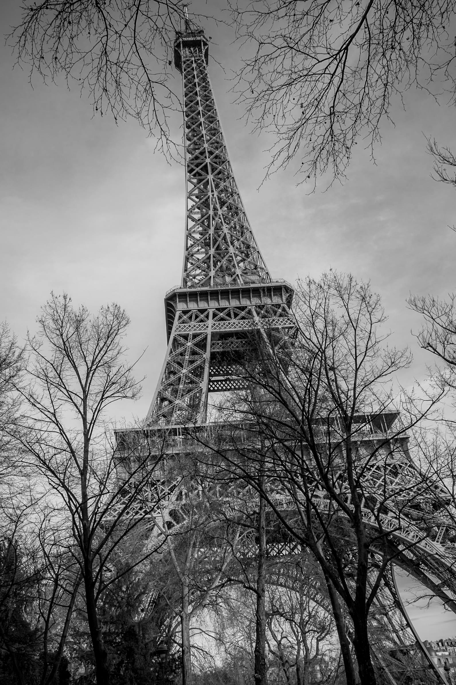 frensh, black, tour, black and white, tourism, tower, architecture, eiffel tower, spire, branch, steel, outdoors, white, paris, eifel, the past, travel, Phone HD Wallpaper