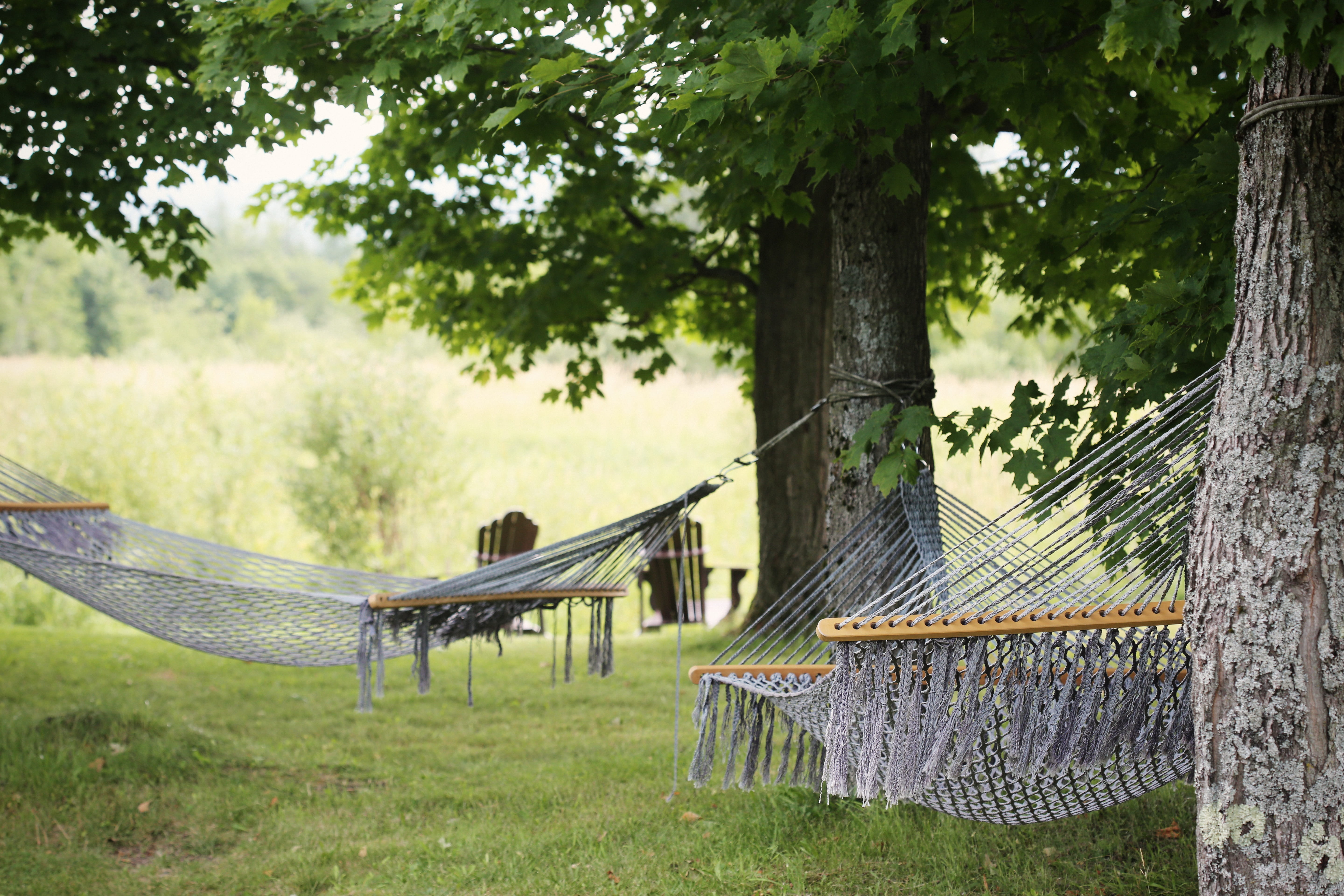resort, two, 5K, hammocks, sleep, tree trunk, architecture, break, relax, chill, tree, day, land, nature, seat, focus on foreground, leaves, plant, park - man made space, HD Wallpaper