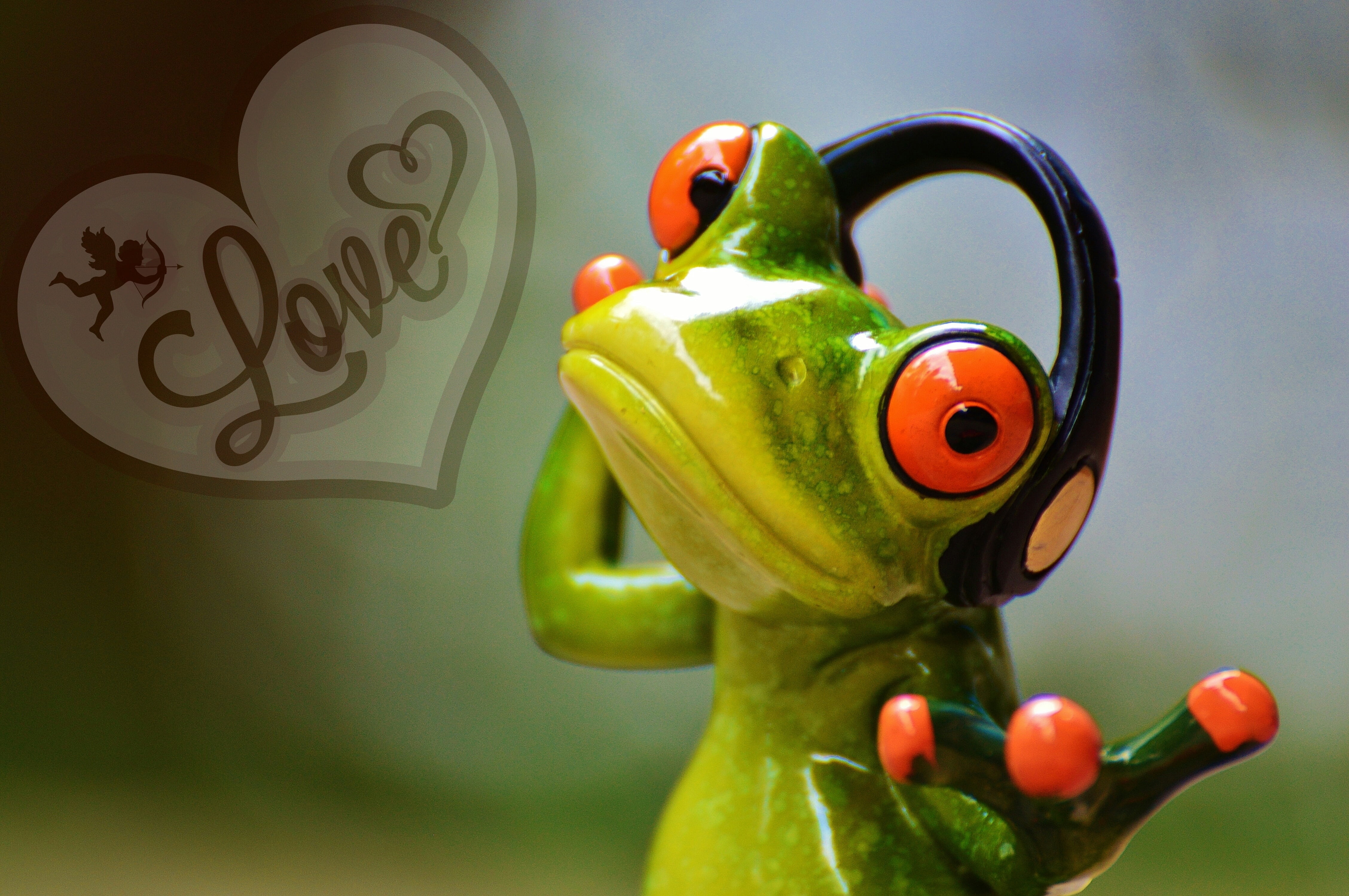 love, focus on foreground, humor, black, frog, fun, close-up, yellow, amphibian, food, food and drink, sticker, fruit, toy, cute, animal, creativity, wearing, HD Wallpaper