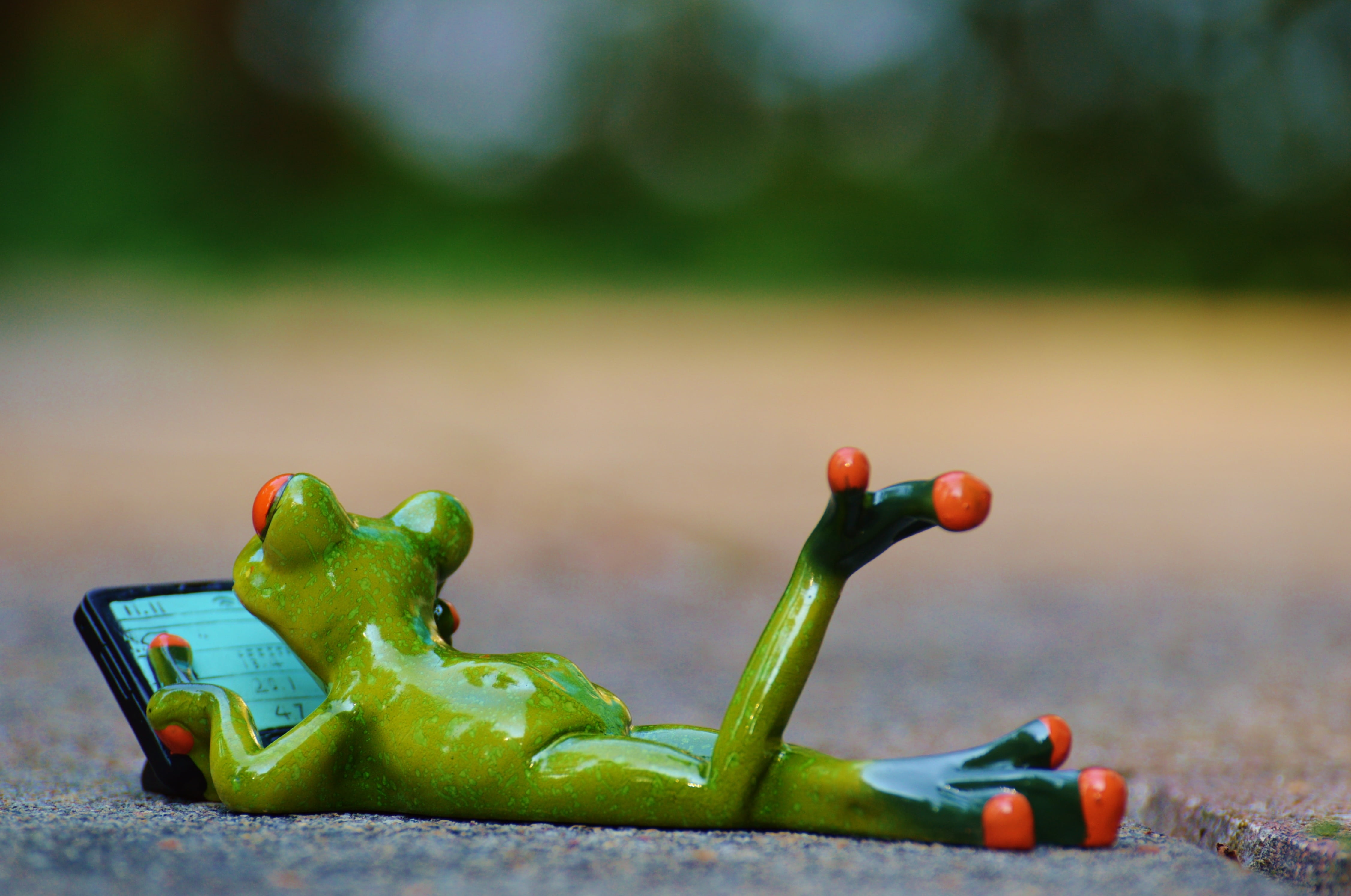 funny, green, rest, plant, outdoors, cute, vegetable, food, animal, surface, sweet, relaxed, toy, lying, 4K, day, selective focus, beach, land, figurine, HD Wallpaper
