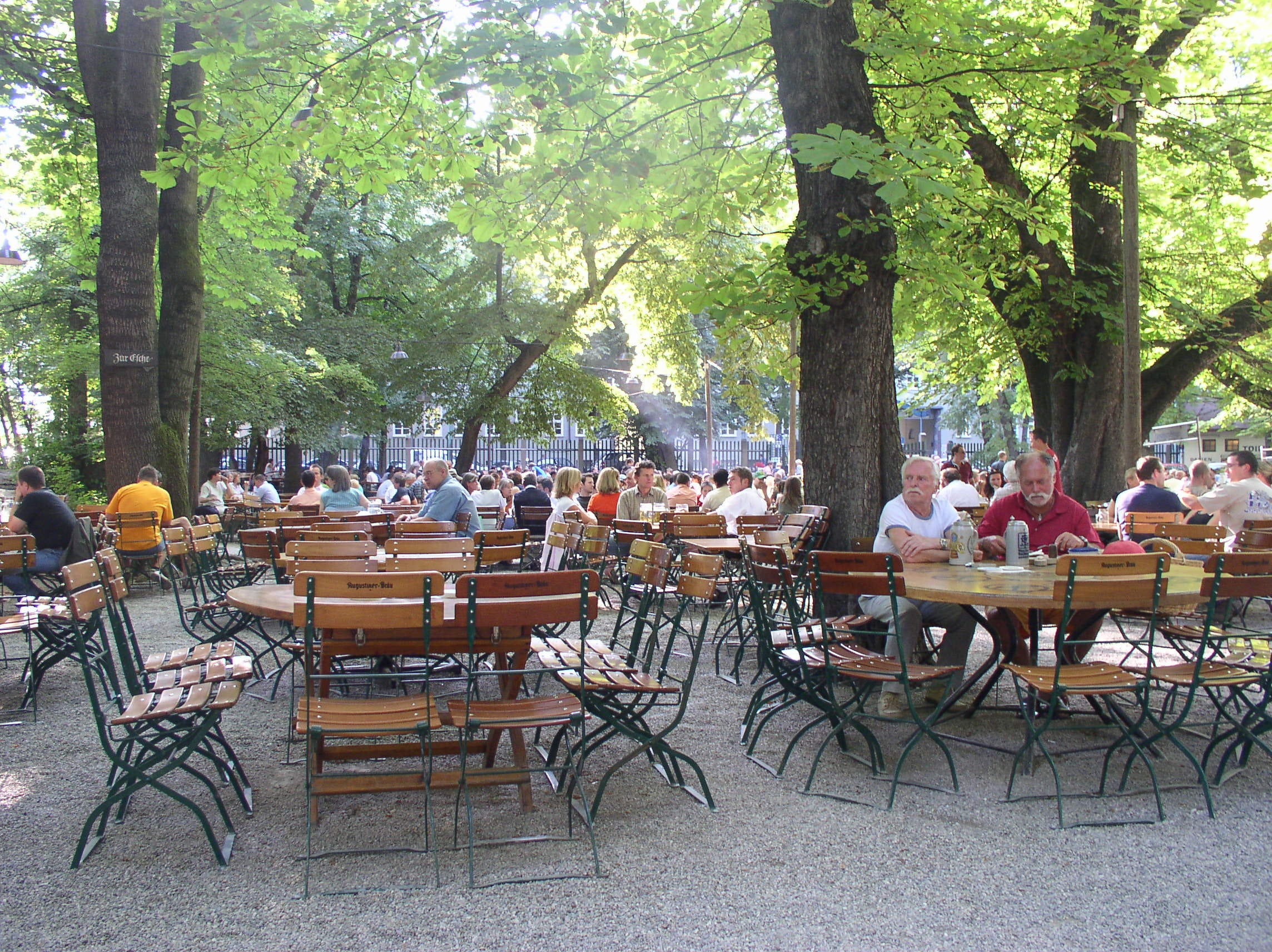 adult, plant, dining tables, outdoor, munich, chairs, men, 1080P, real people, benches, summer, trees, food and drink, garden, tree, restaurant, outdoors, HD Wallpaper