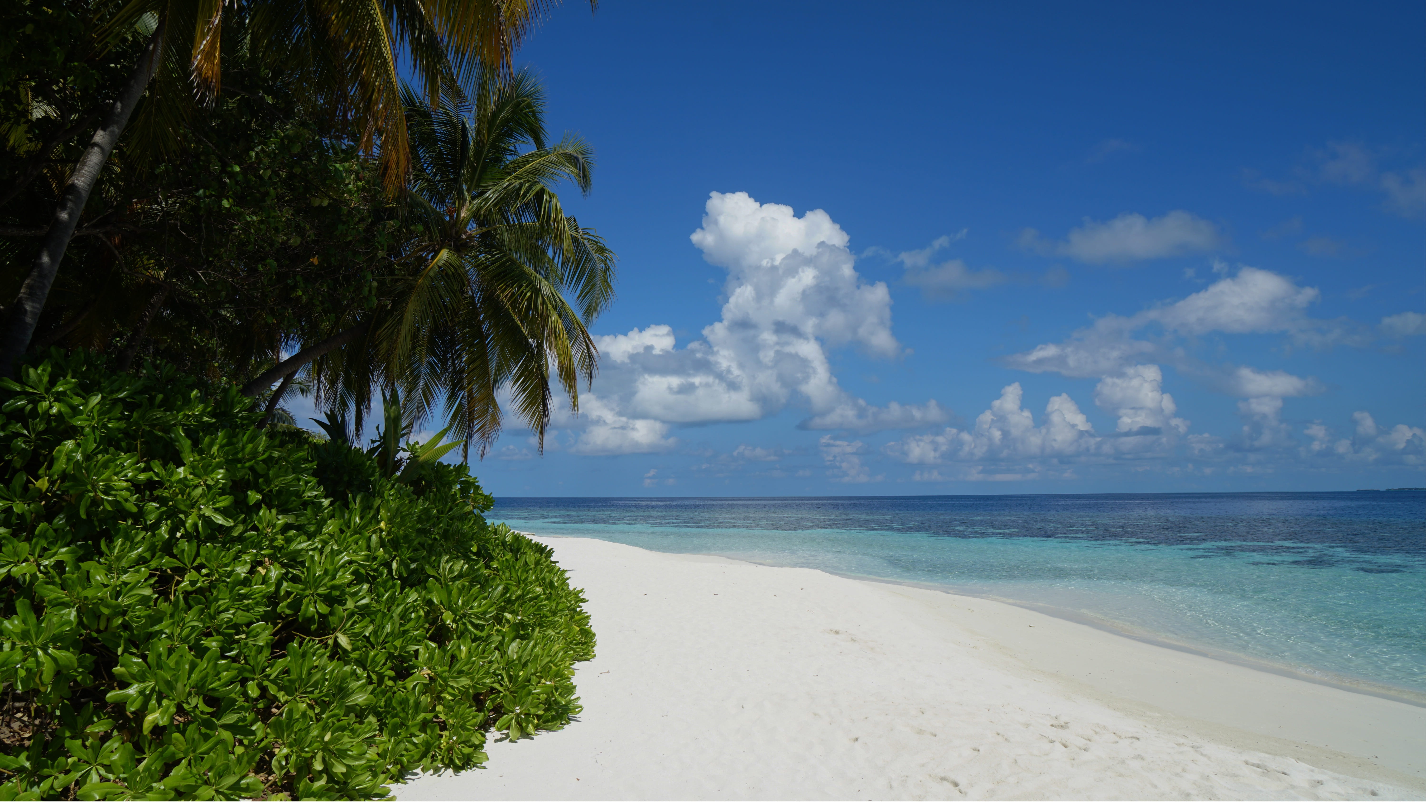 island, horizon over water, beauty In Nature, travel, turquoise, water, sea, turquoise Colored, summer, coastline, Maldives, beside, relax, scenics, coral reef, HD Wallpaper