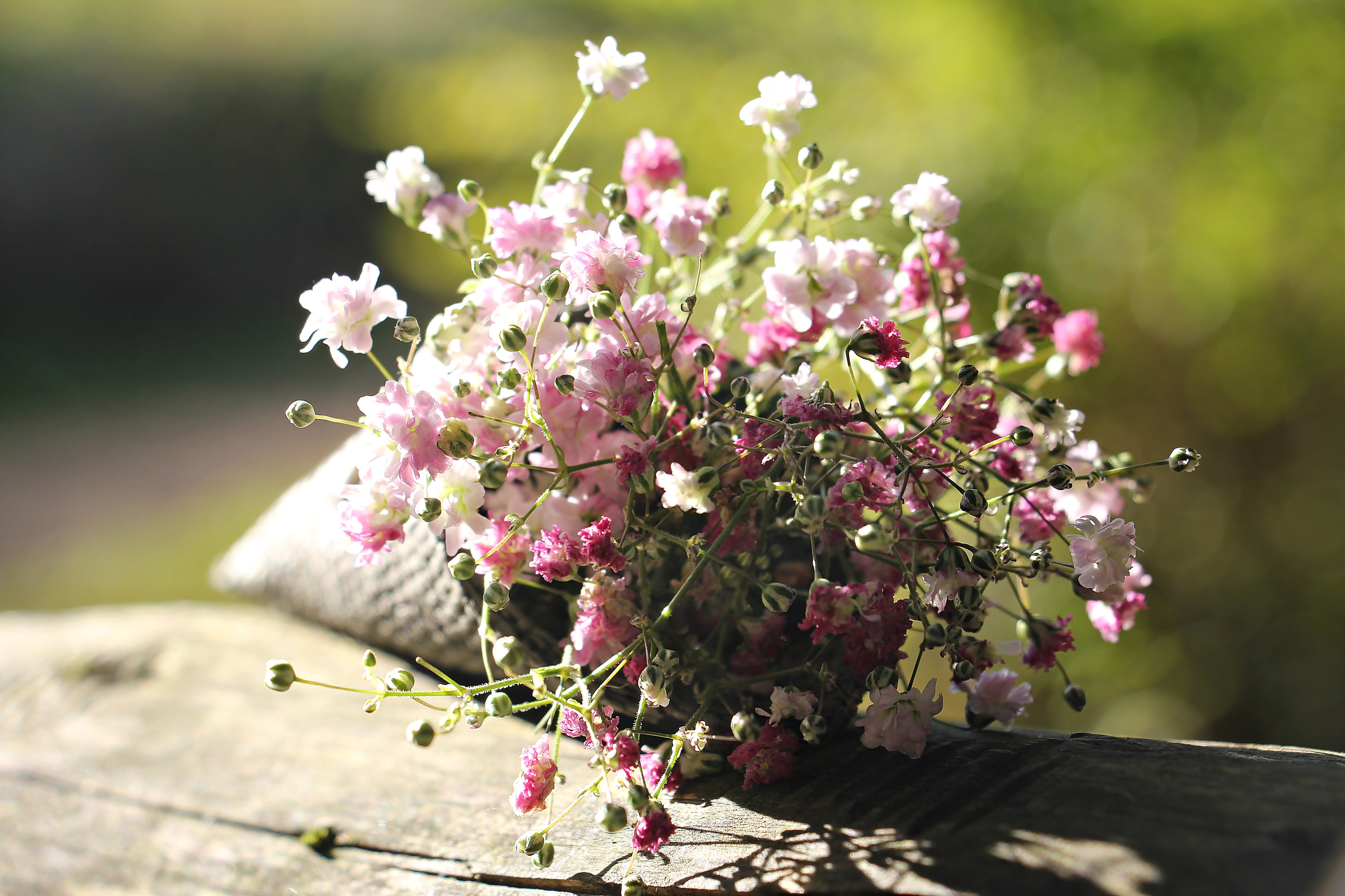 springtime, focus on foreground, carnation family, pink color, bag with loop, growth, flower head, lilac, babys breath, inflorescence, freshness, background image, HD Wallpaper