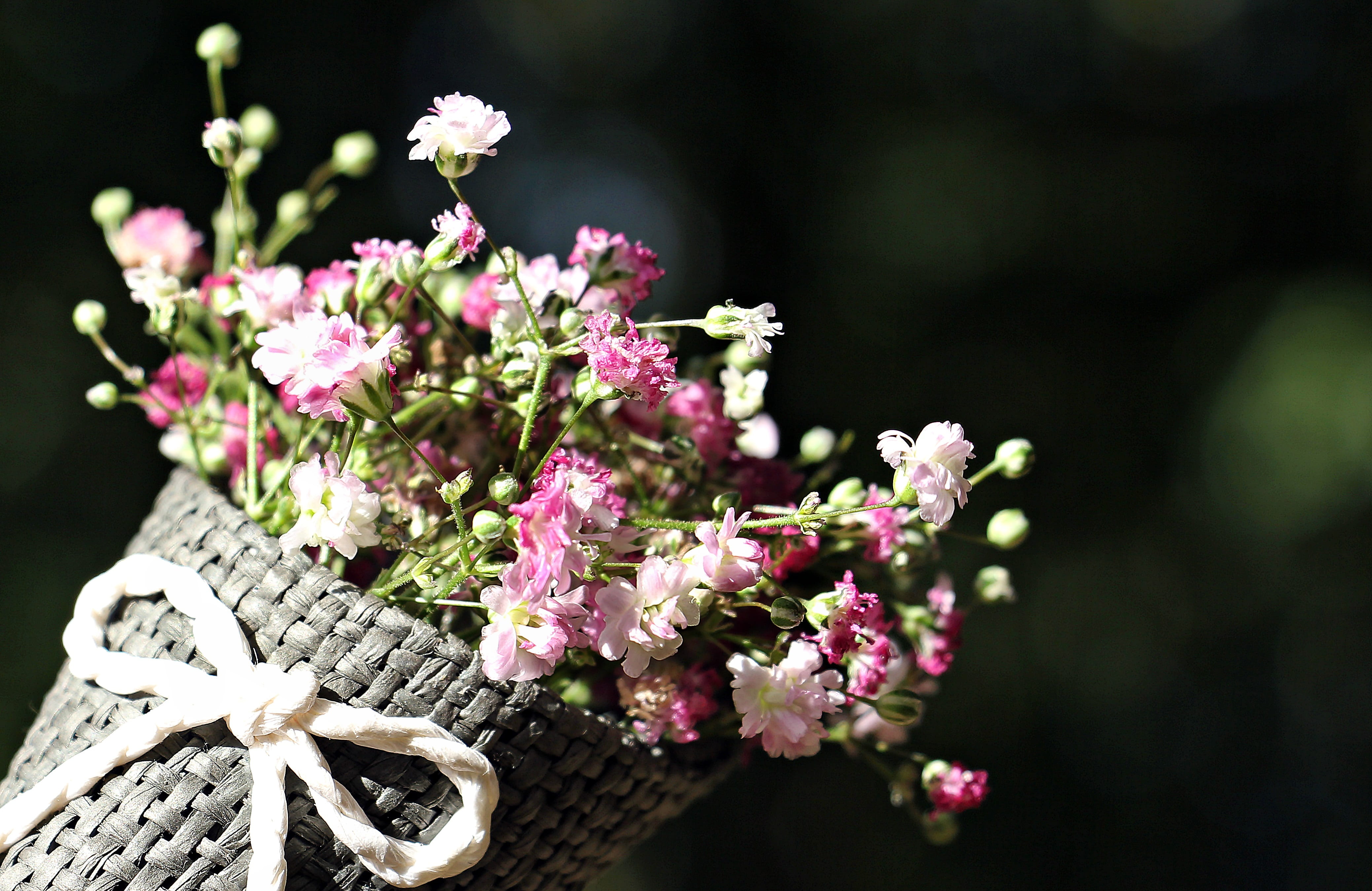 romantic, background, mothers day, ornamental plant, flower arrangement, bunch of flowers, close-up, fragility, greeting card, beauty in nature, valentines day, HD Wallpaper