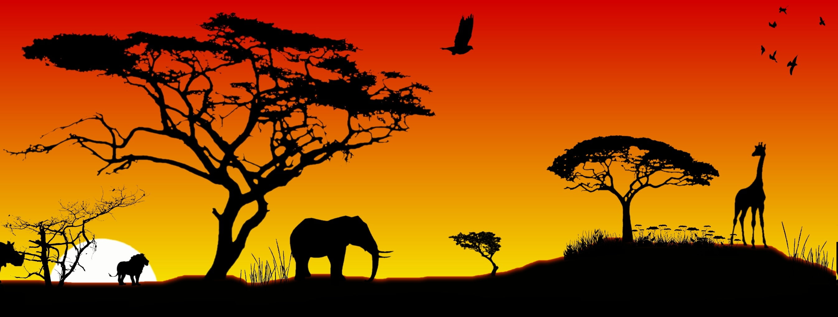 silhouette, plant, 2K, sunset, outdoors, mammal, sky, elephant, animals in the wild, Africa, animal family, tree, people, animals, group of people, nature, HD Wallpaper