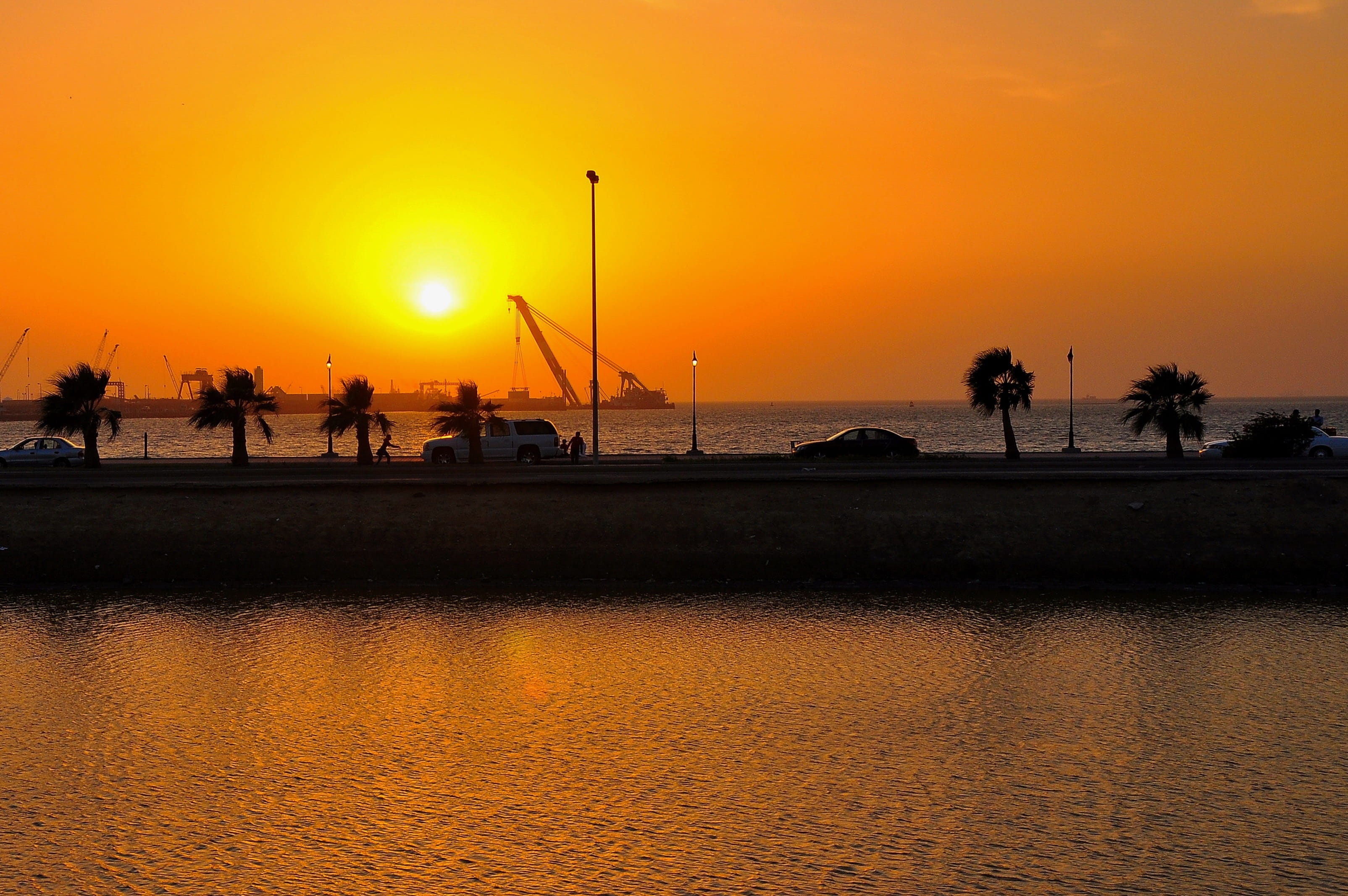 great prints philippines, tranquil scene, romantic, red sea coast, tree, george paris, 2K, coast, golden sunset, nature, arabian peninsula, sunset, horizon, HD Wallpaper
