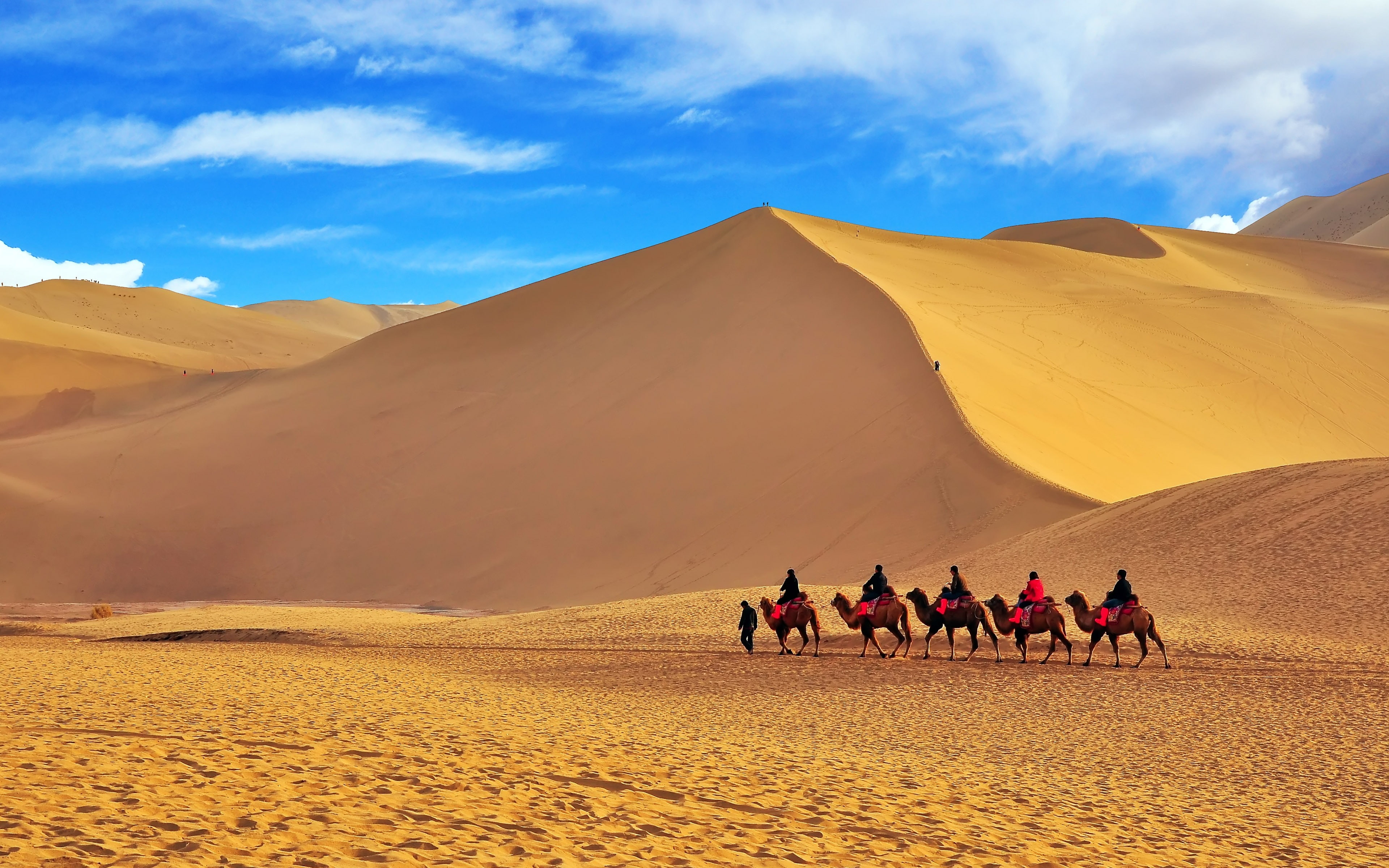 silk, land, riding, scenics - nature, sand dune, road, group of people, arid climate, desert, working animal, domestic animals, travel, sky, ride, nature, HD Wallpaper