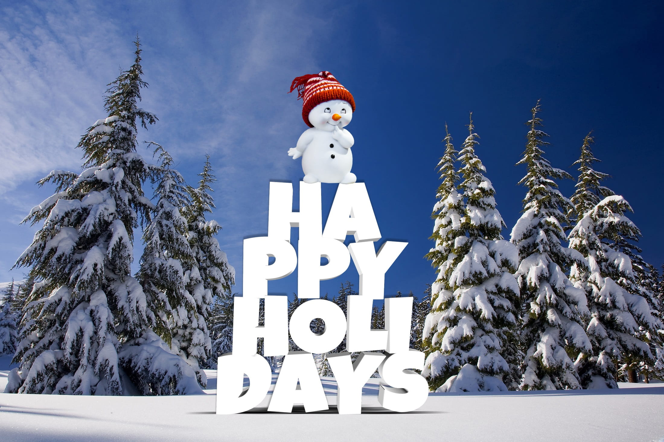 day, 1080P, frost, decoration, sky, christmas tree, pine, nicholas, holiday, holi, forest, winter magic, christmas, white color, cold temperature, christmas time, HD Wallpaper