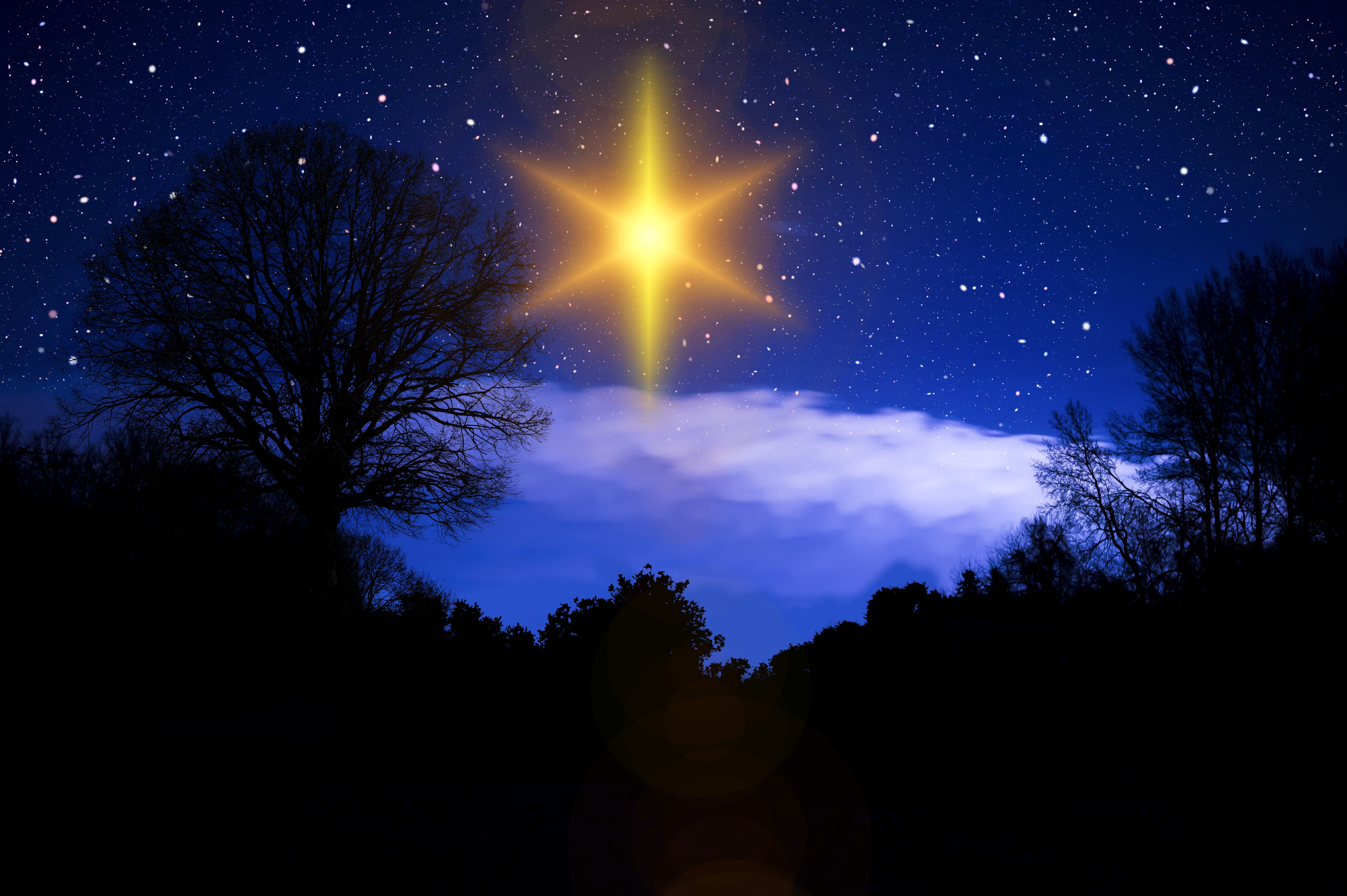christmas time, dark, no people, frost, plant, moonlight, tranquility, beauty in nature, background, star, sky, star field, tranquil scene, idyllic, santa claus, HD Wallpaper