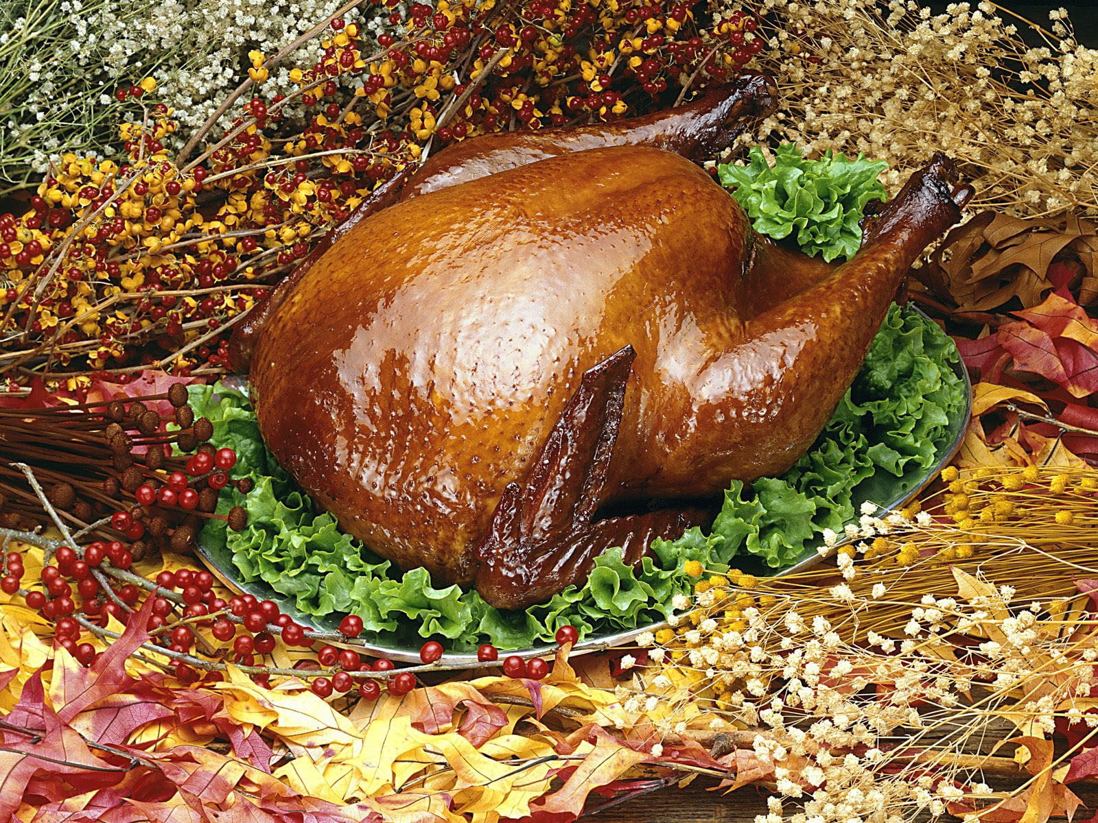 animal, wellbeing, bread, thanksgiving, food, food and drink, 720P, ready-to-eat, wood - Material, gourmet, meal, celebration, fried, container, vegetable, HD Wallpaper