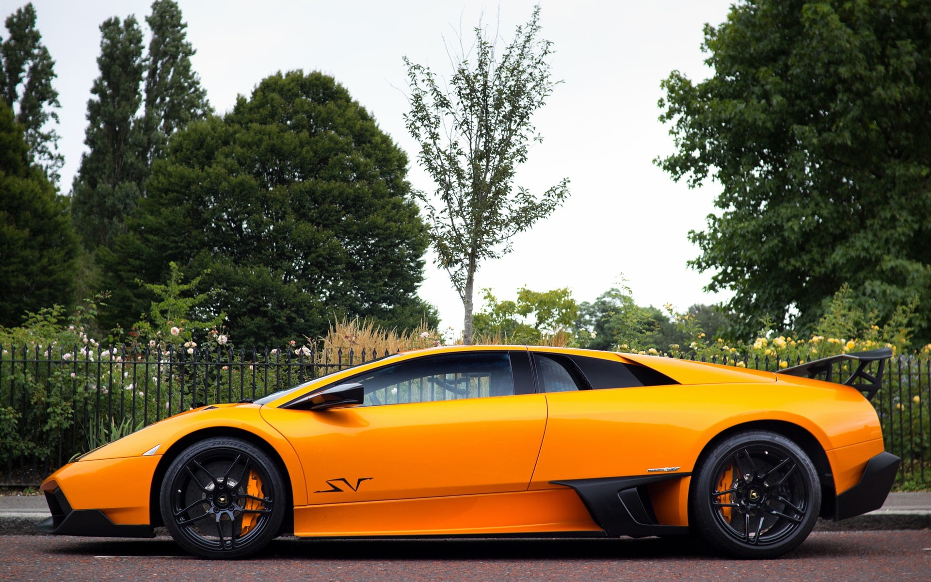 Trees, murcielago, Lamborghini, Supercar, sv, lp, 1080P, Orange, HD Wallpaper