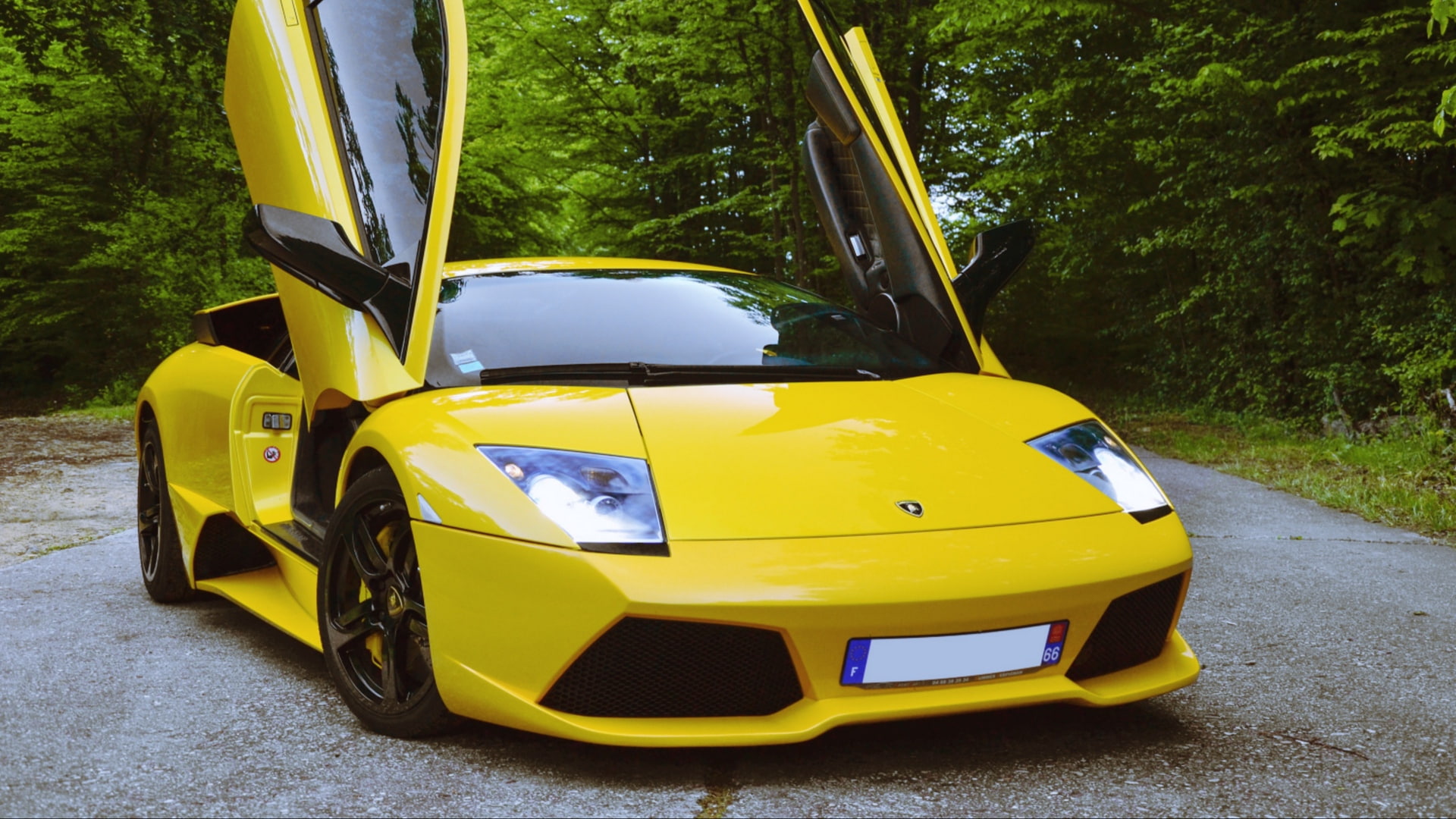 mode of transportation, plant, day, road, tree, parking, nature, Lamborghini Murcielago LP640-4, no people, car, taxi, stationary, yellow taxi, outdoors, HD Wallpaper