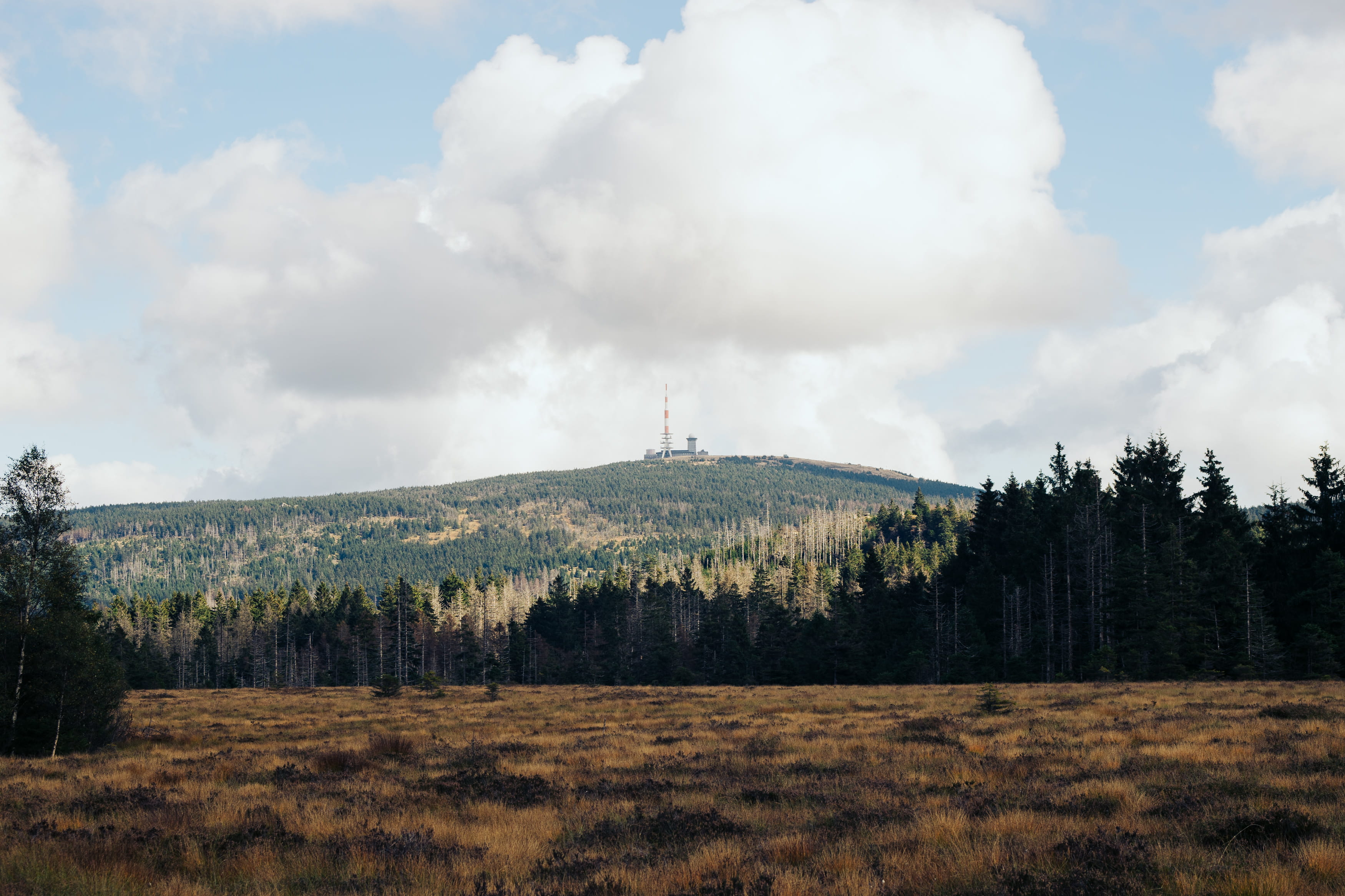 europe, hill, non-urban scene, day, no people, field, hike, european, natural, vegetation, recreation, reserve, plant, hilly, season, peak, calm, destination, HD Wallpaper