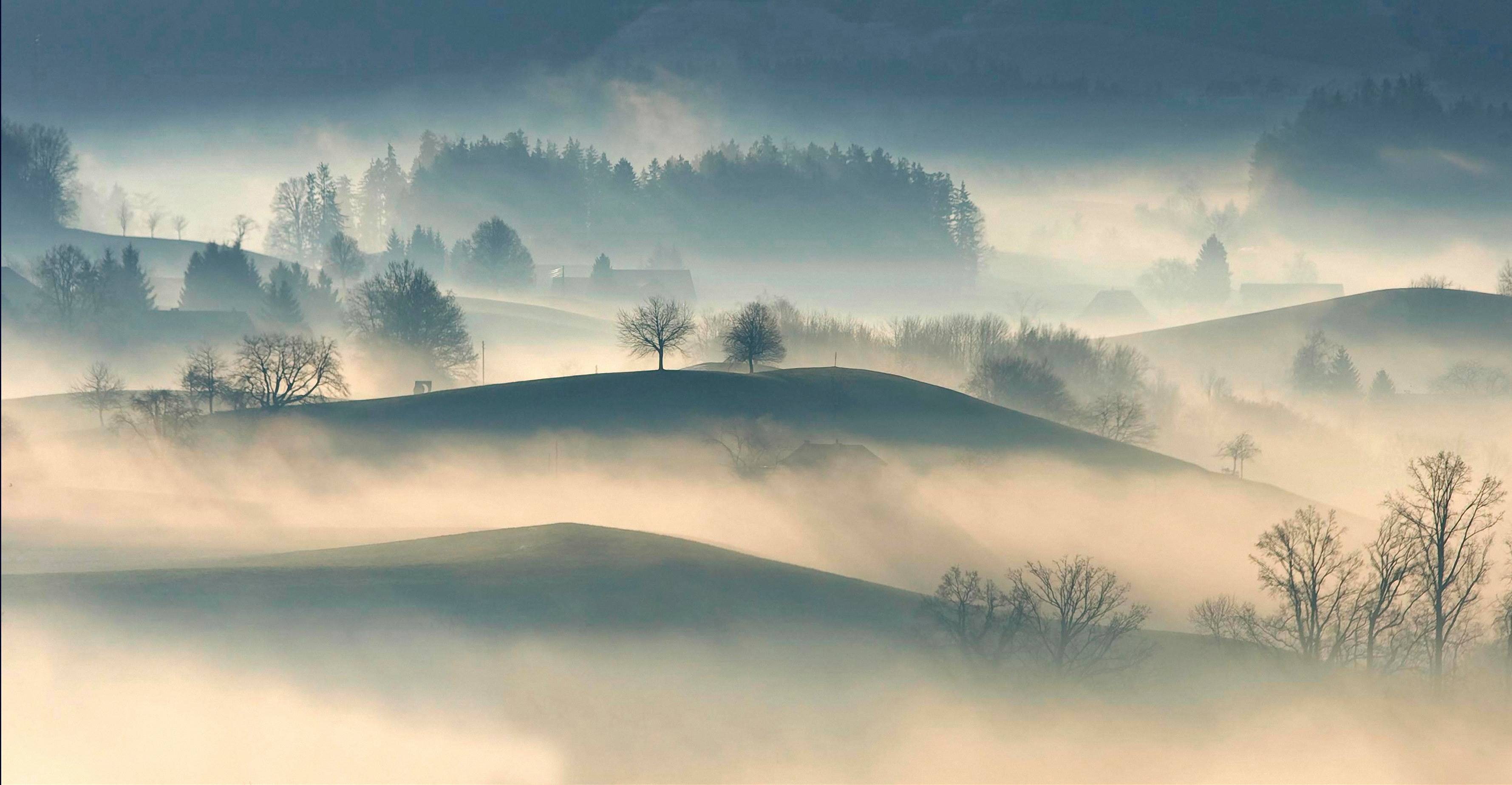 nature, highland, 2K, plant, fog, trees, countryside, hilly, HD Wallpaper
