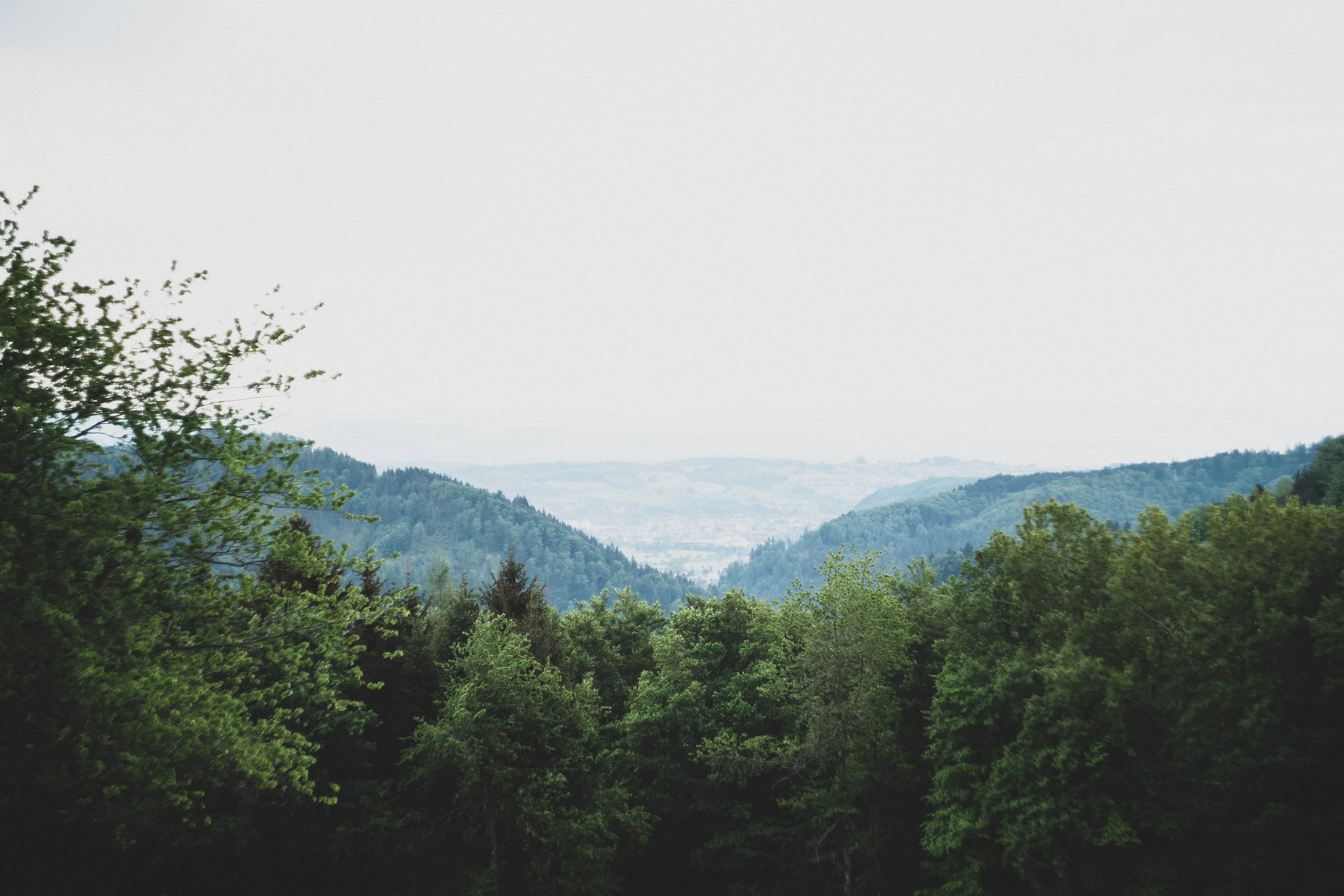 2K, traveling, vacation, scenic, countryside, green, landscape, black, hill, land, green color, tree, ecology, coniferous tree, outdoor, outdoors, environment, HD Wallpaper