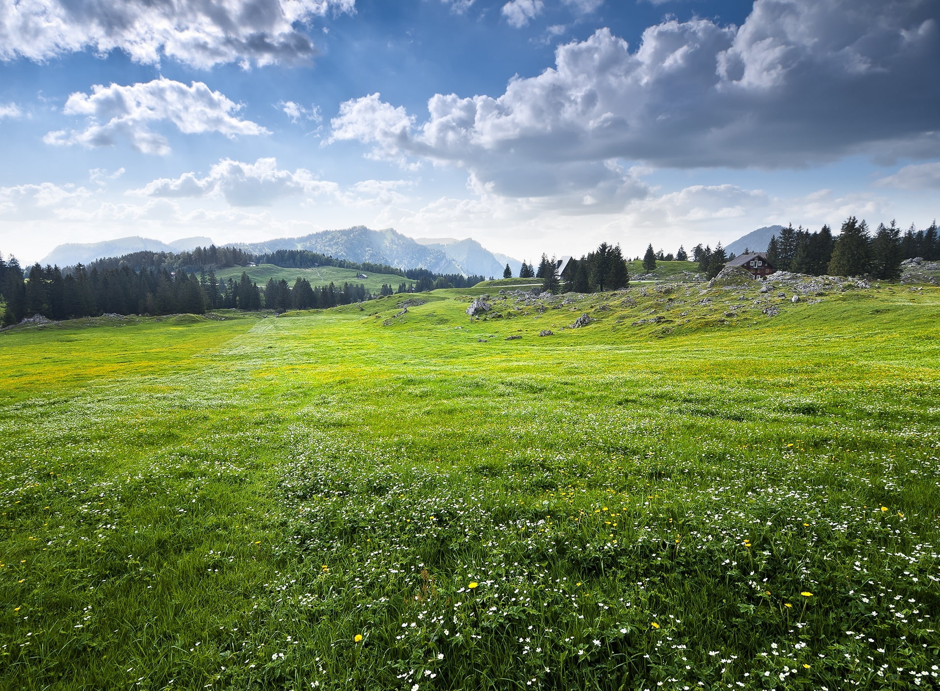 Trees, Alpine, santis, outdoors, Rolling, cantonofappenzellouterrhodes, polariser, Daisy, environment, Shadows, Wildflowers, tranquility, Clouds, Mountains, HD Wallpaper