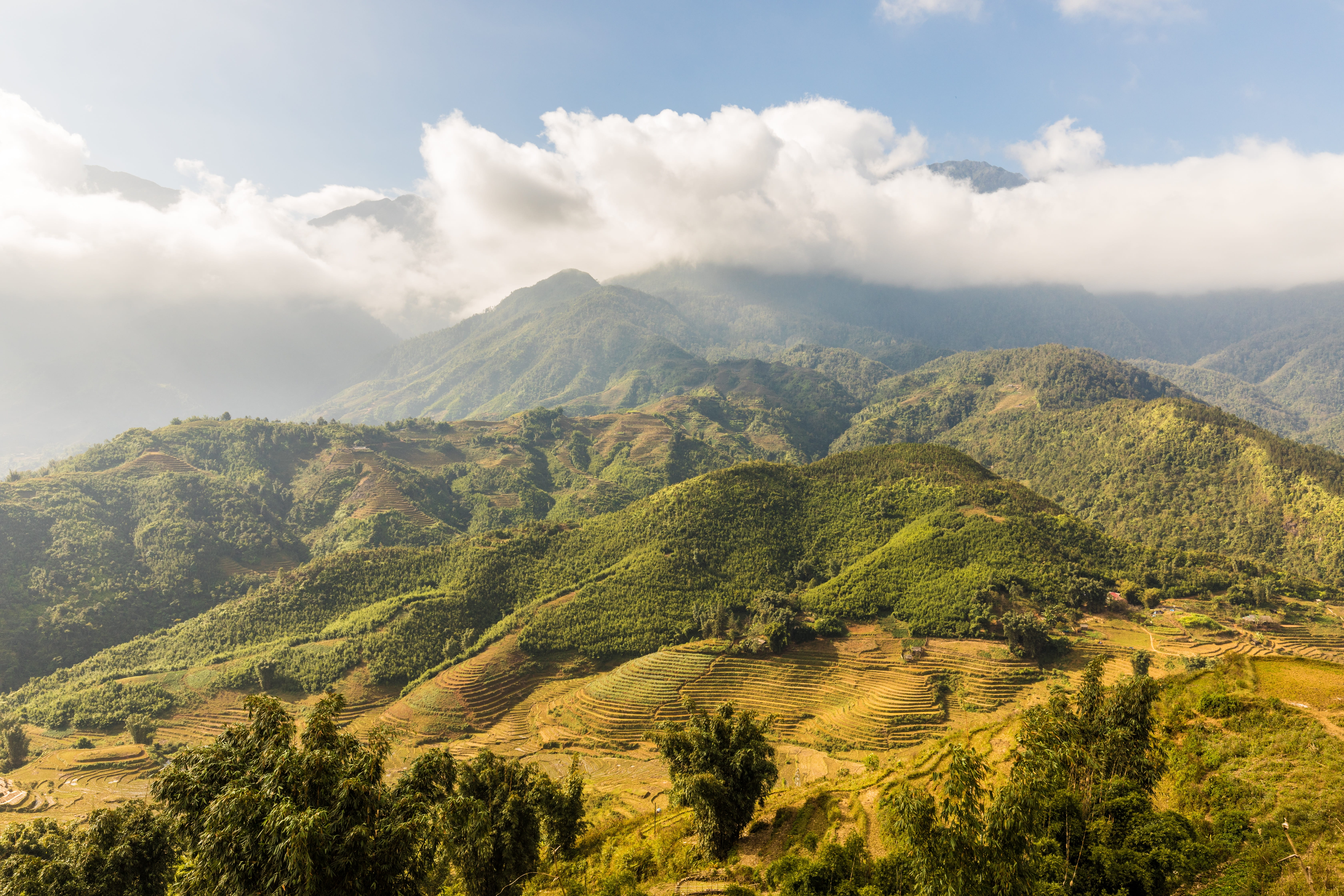 rural scene, rice terraces, travel, nature, sky, landscape, asia, green, mood, environment, no people, forest, tranquility, silent, vietnam, 5K, land, HD Wallpaper