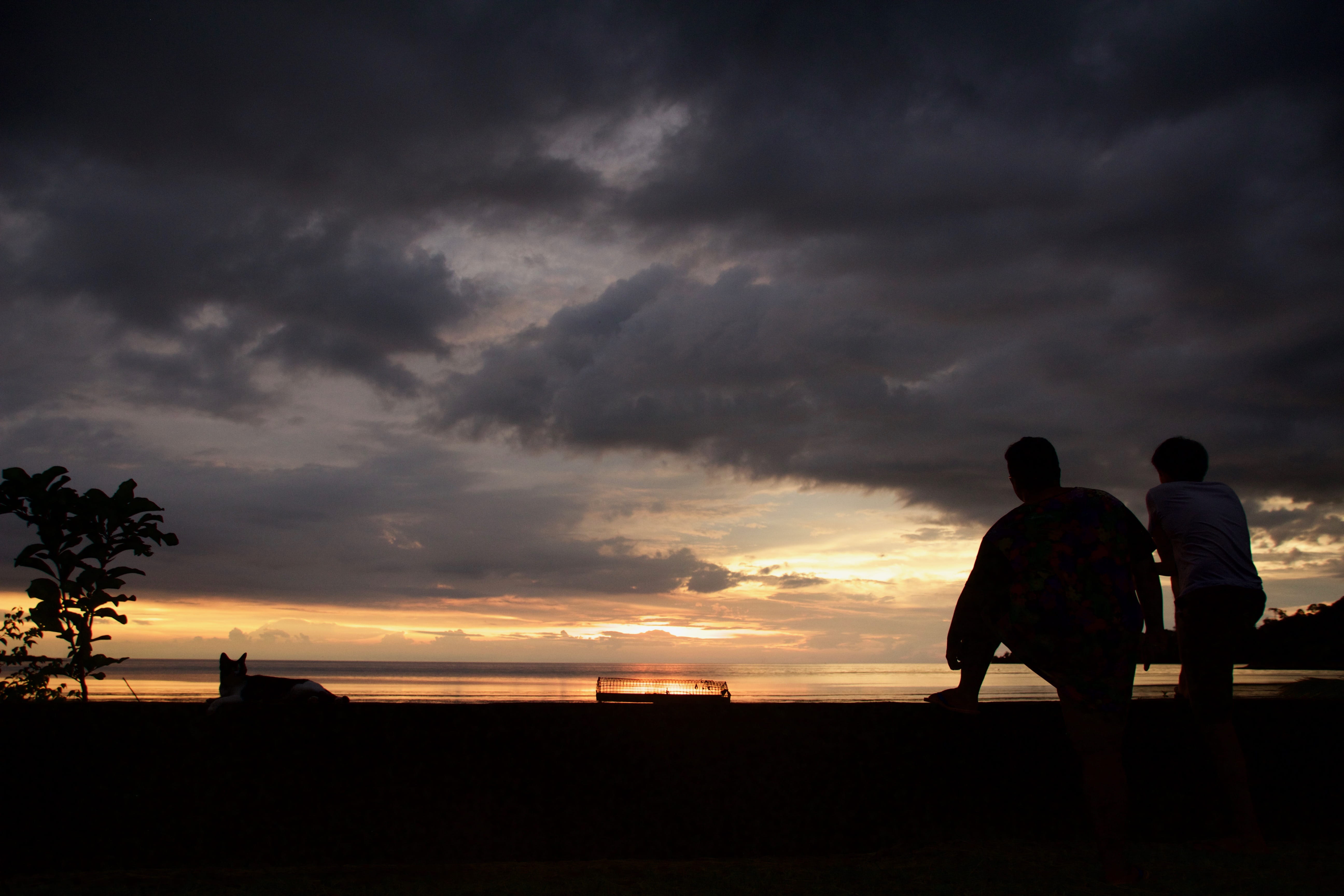 love, nature, sunset, ocean, sitting, outdoors, real people, sky, tranquil scene, scenics - nature, couple - relationship, silhouette, lifestyles, cloud - sky, HD Wallpaper
