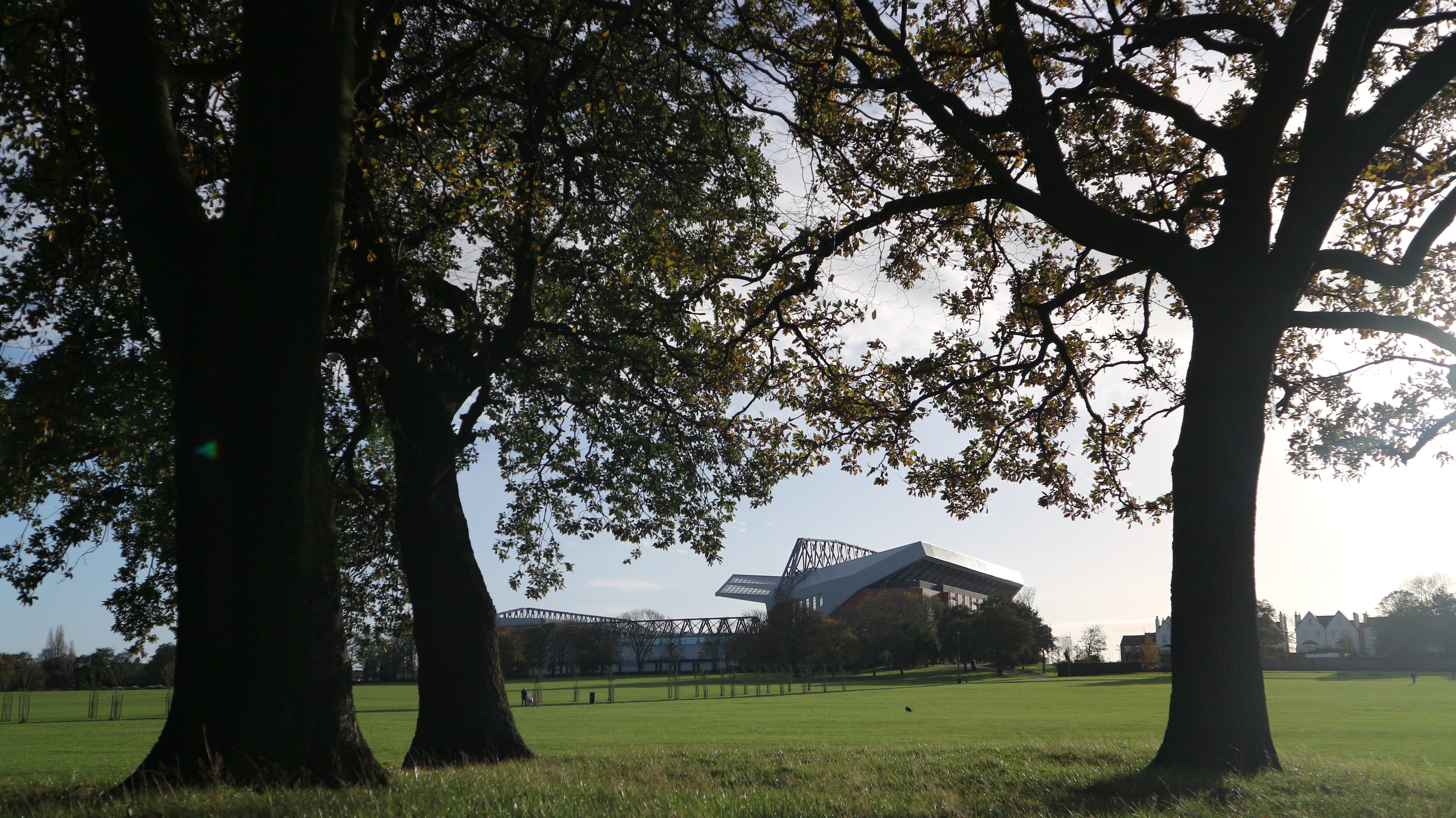 nature, sky, built structure, football, sport, land, tree, outdoors, stanley park liverpool, anfield, trunk, liverpool, trees, day, landscape, park, building exterior, HD Wallpaper