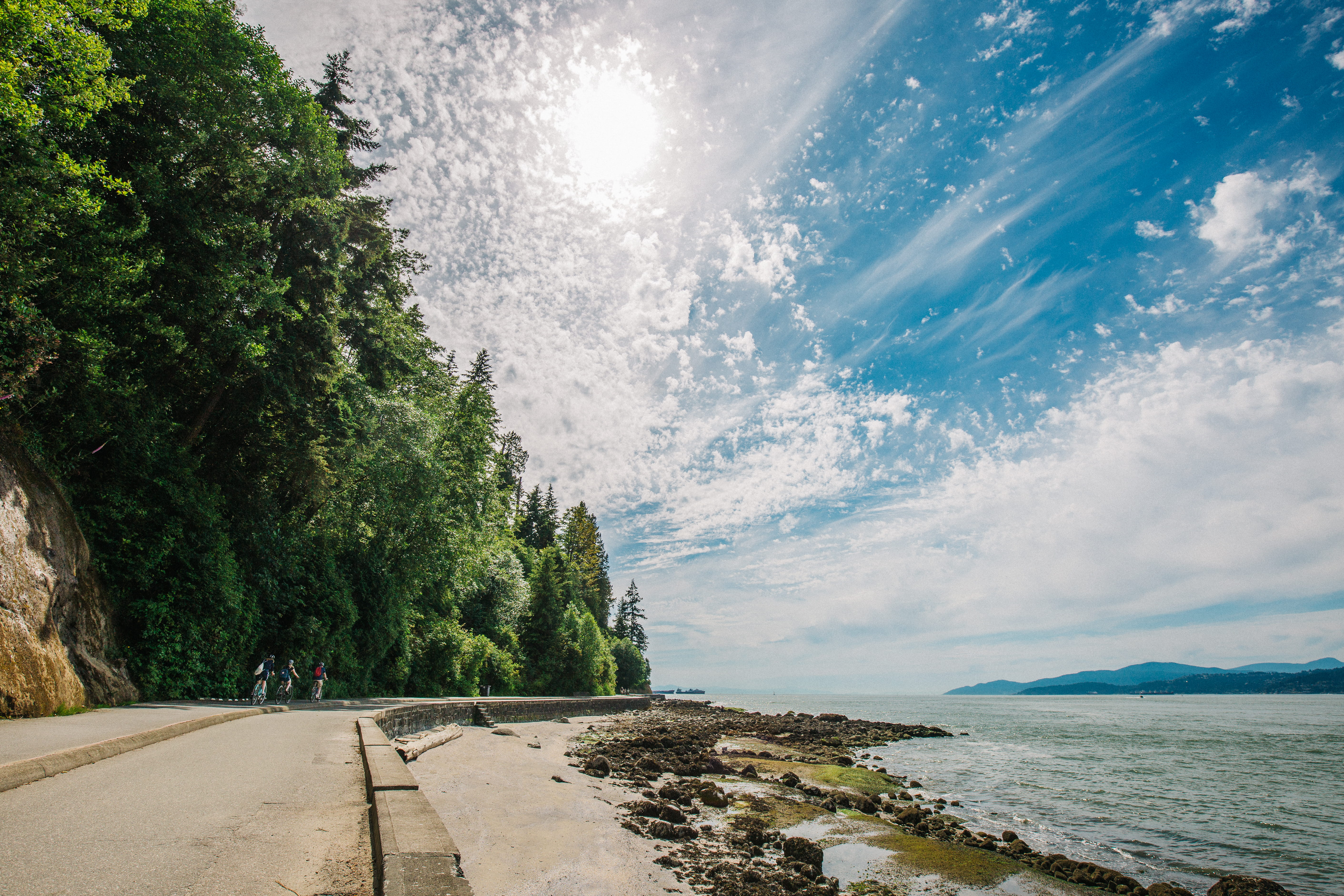 bike, outdoors, sand, nature, plant, vancouver, land, forest, growth, 5K, vacation, bikes, brightly lit, tide, sunlight, tranquil scene, tranquility, tree, HD Wallpaper