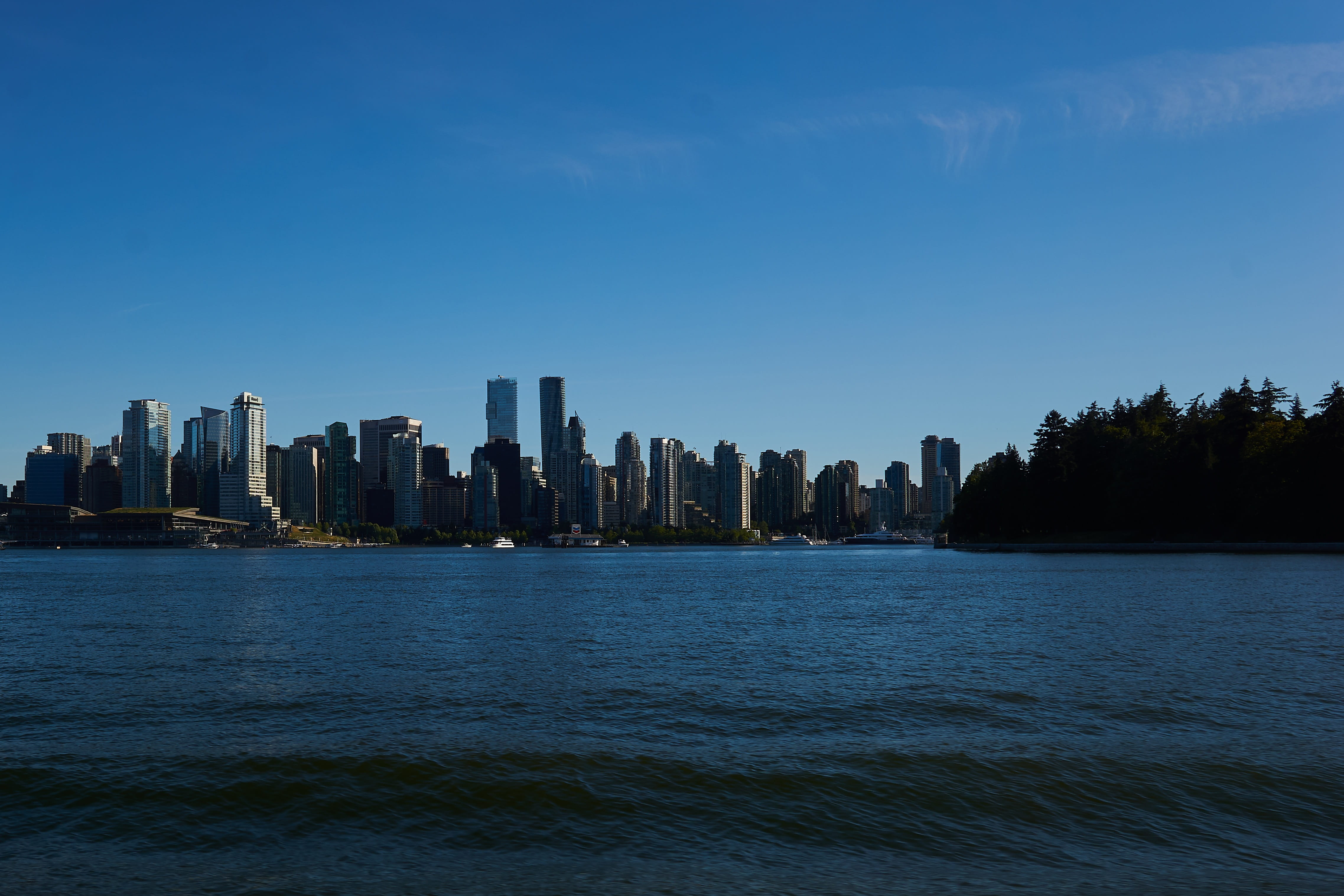 city, water, tree, architecture, no people, outdoors, building, built structure, sky, 4K, urban skyline, landscape, blue, river, waterfront, modern, tall - high, HD Wallpaper
