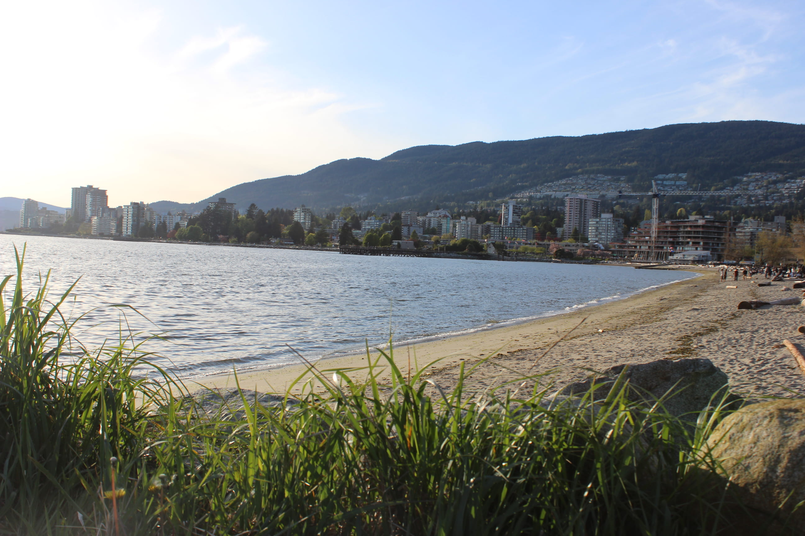 plant, day, beautiful, tranquility, 2K, nature, california, sea, waterfront, no people, beach, vancouver, architecture, colors, river, explore, west, canada, HD Wallpaper