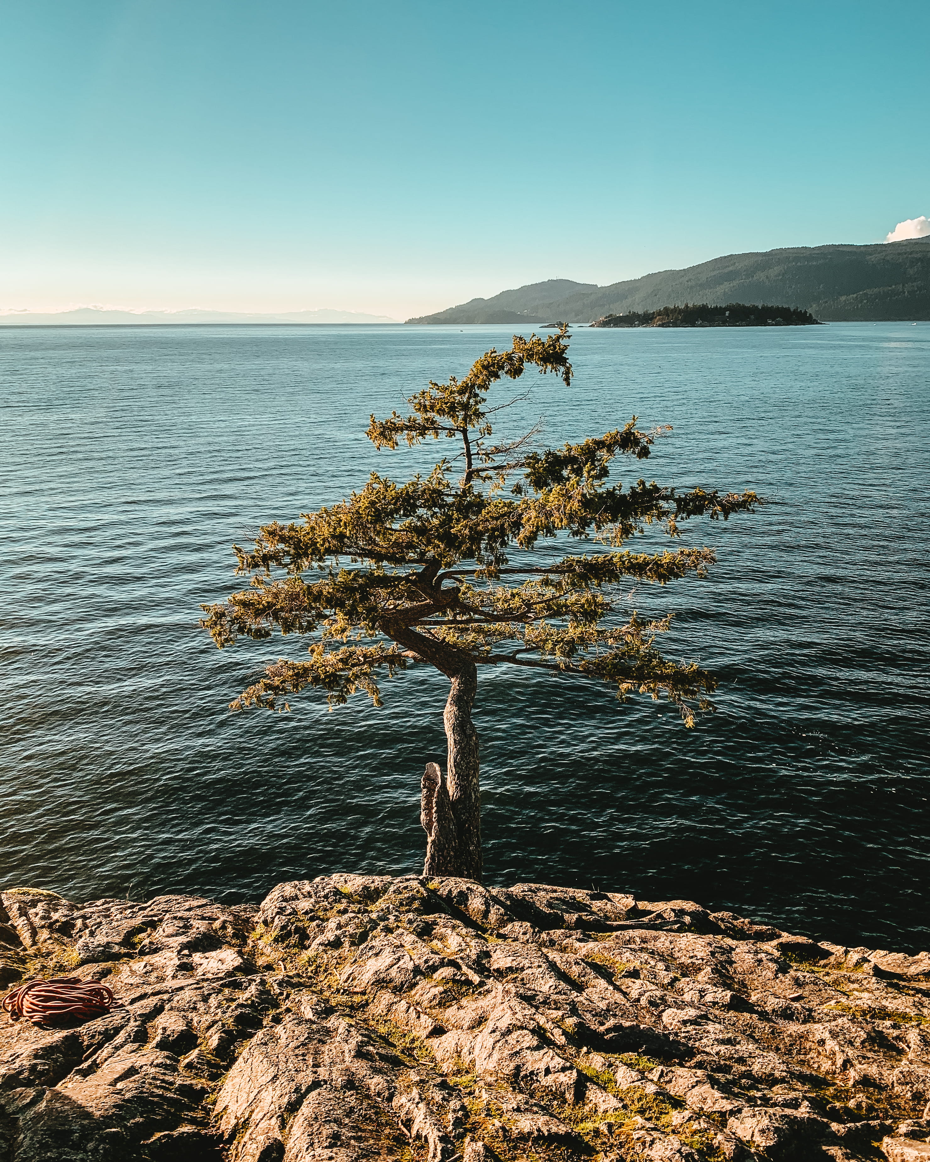 seashore, scenery, cliff, sea, canada, clear sky, west vancouver, outdoors, fir, beach, conifer, solid, nature, land, scenics - nature, shot on iphone, Phone HD Wallpaper