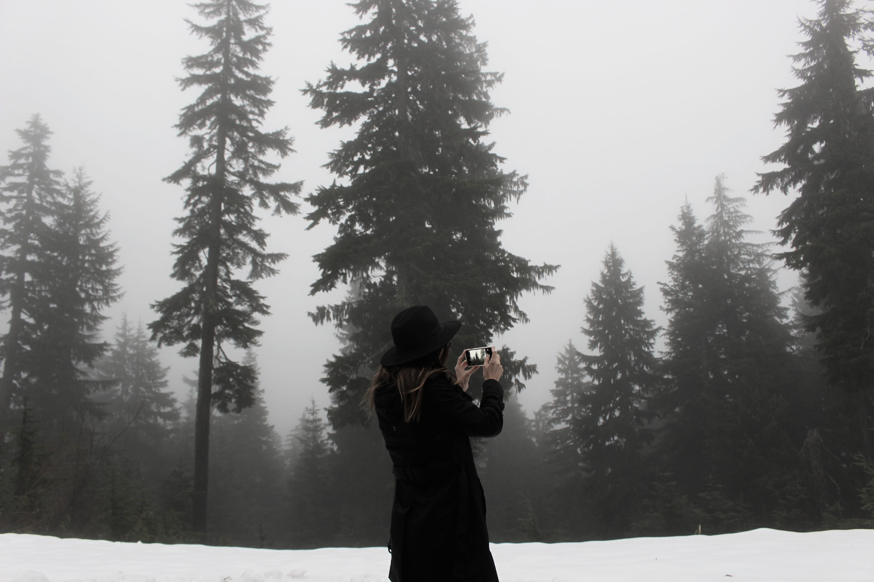 winter, standing, fog, picture, photo, photographing, west vancouver, ominous, digital camera, one person, outdoors, technology, female, girl, 2K, canada, HD Wallpaper