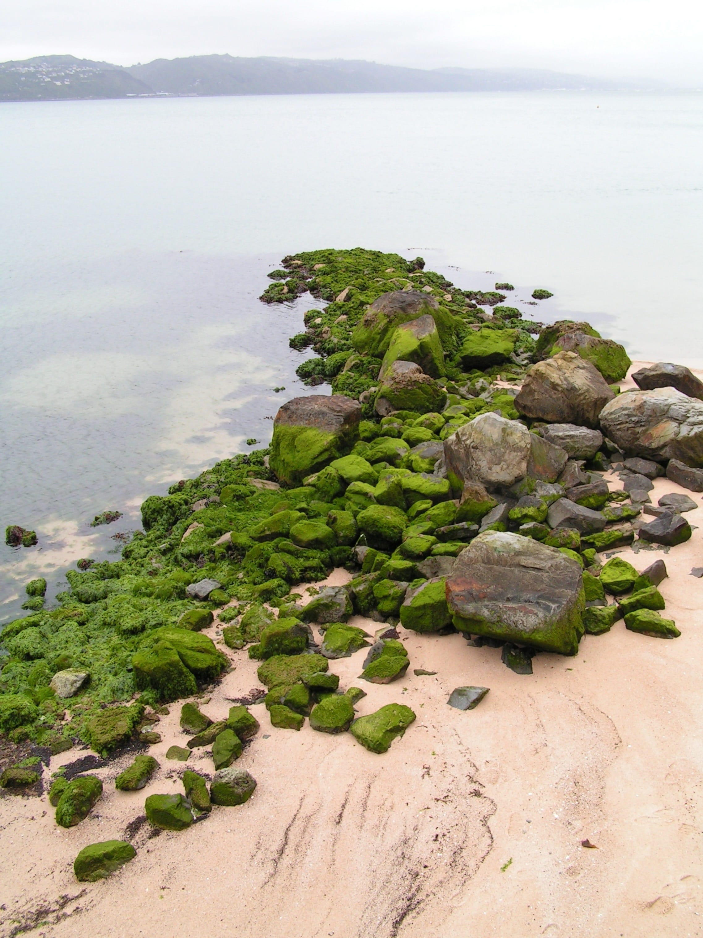 beauty in nature, stack rock, tranquil scene, non-urban scene, solid, shore, land, plant, no people, stones, sky, coast, mossy, beach, ocean, outdoors, Phone HD Wallpaper