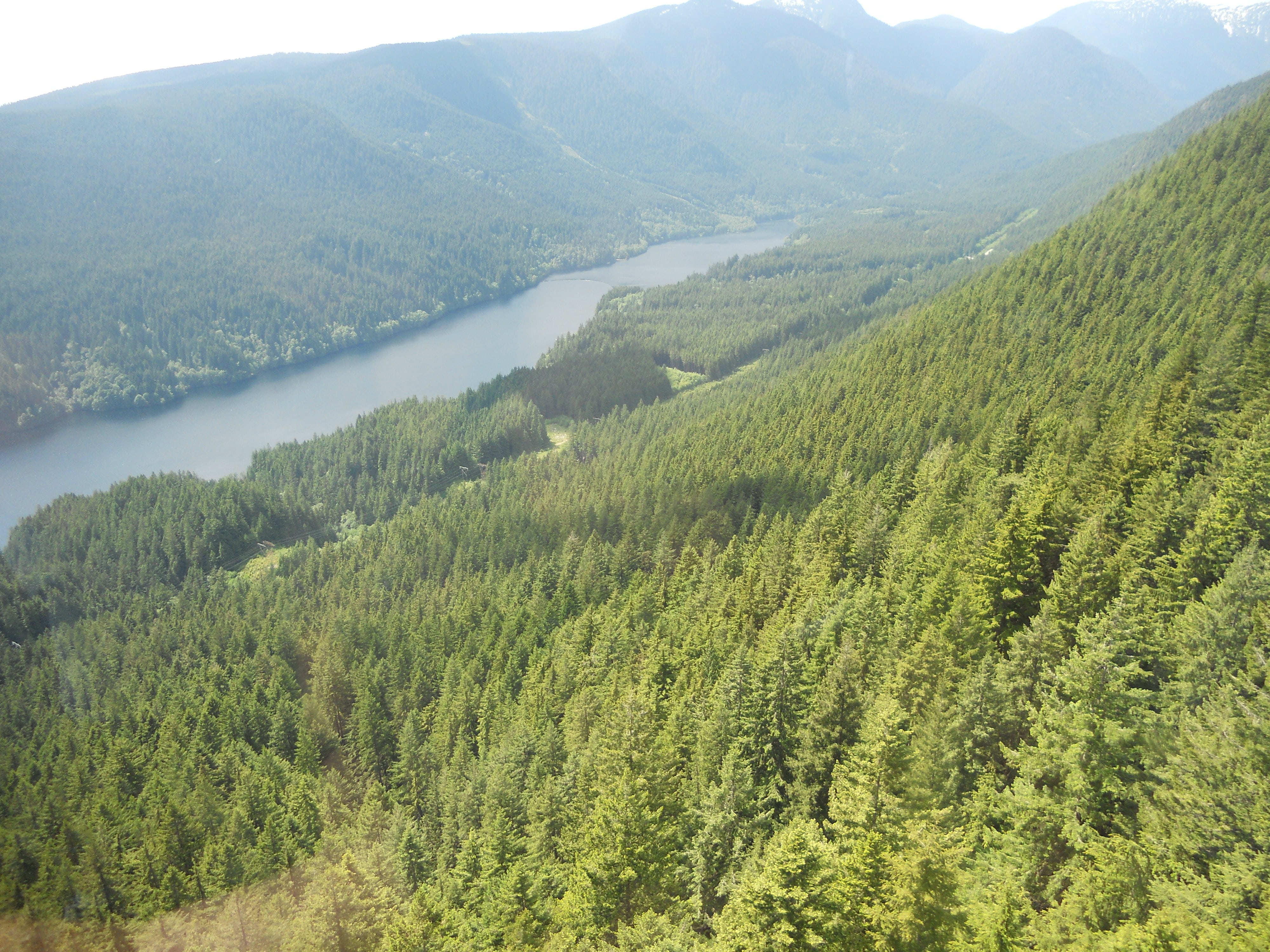 trees, mountain range, nature, grouse grind, mountain, idyllic, tranquility, plant, day, scenics - nature, 4K, scenery, beauty in nature, cable car, land, HD Wallpaper