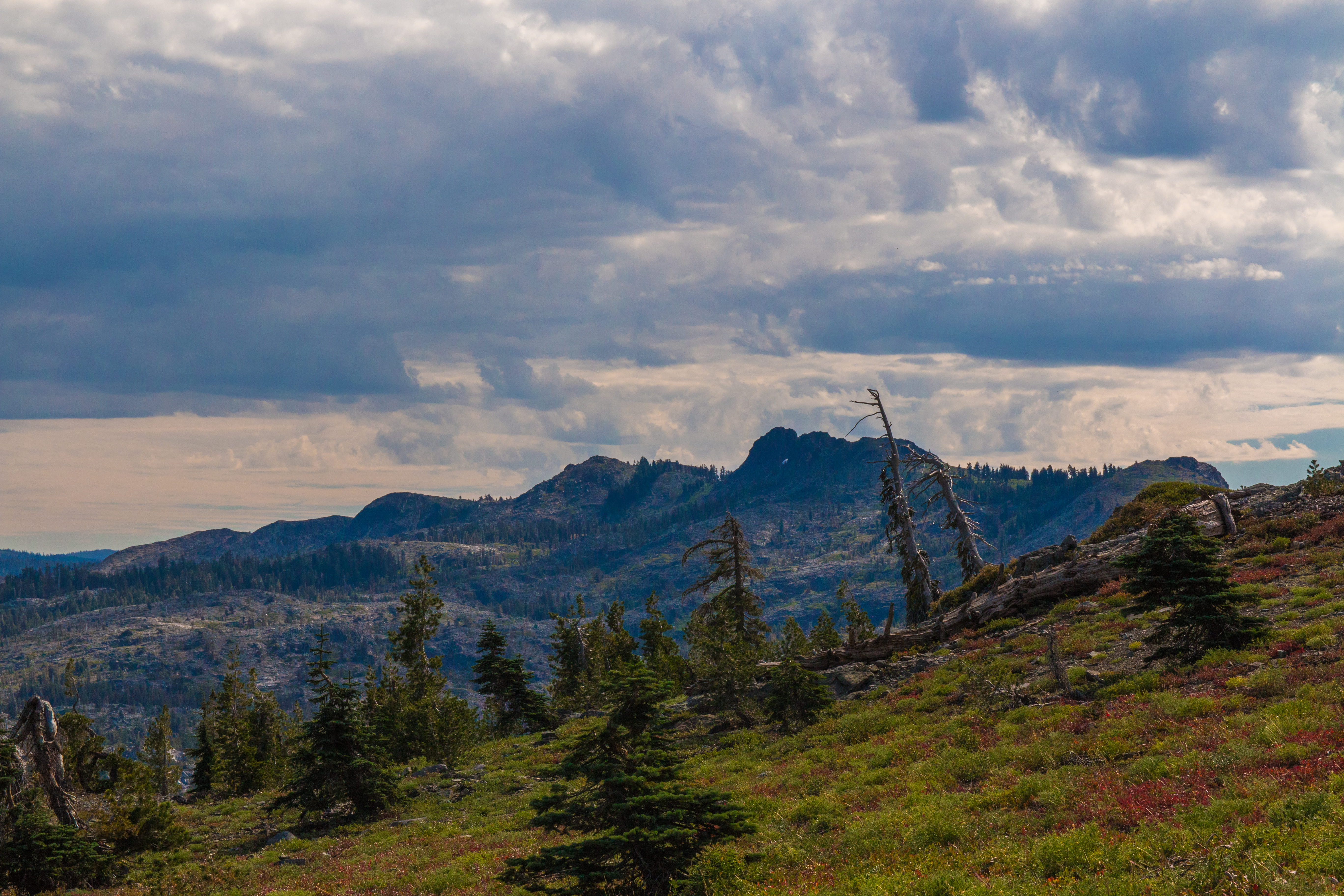 sky, mountain, hiking, day, environment, scenics - nature, cloud - sky, landscape, land, wild, mountains, camping, nature, mountain range, remote, pine, HD Wallpaper