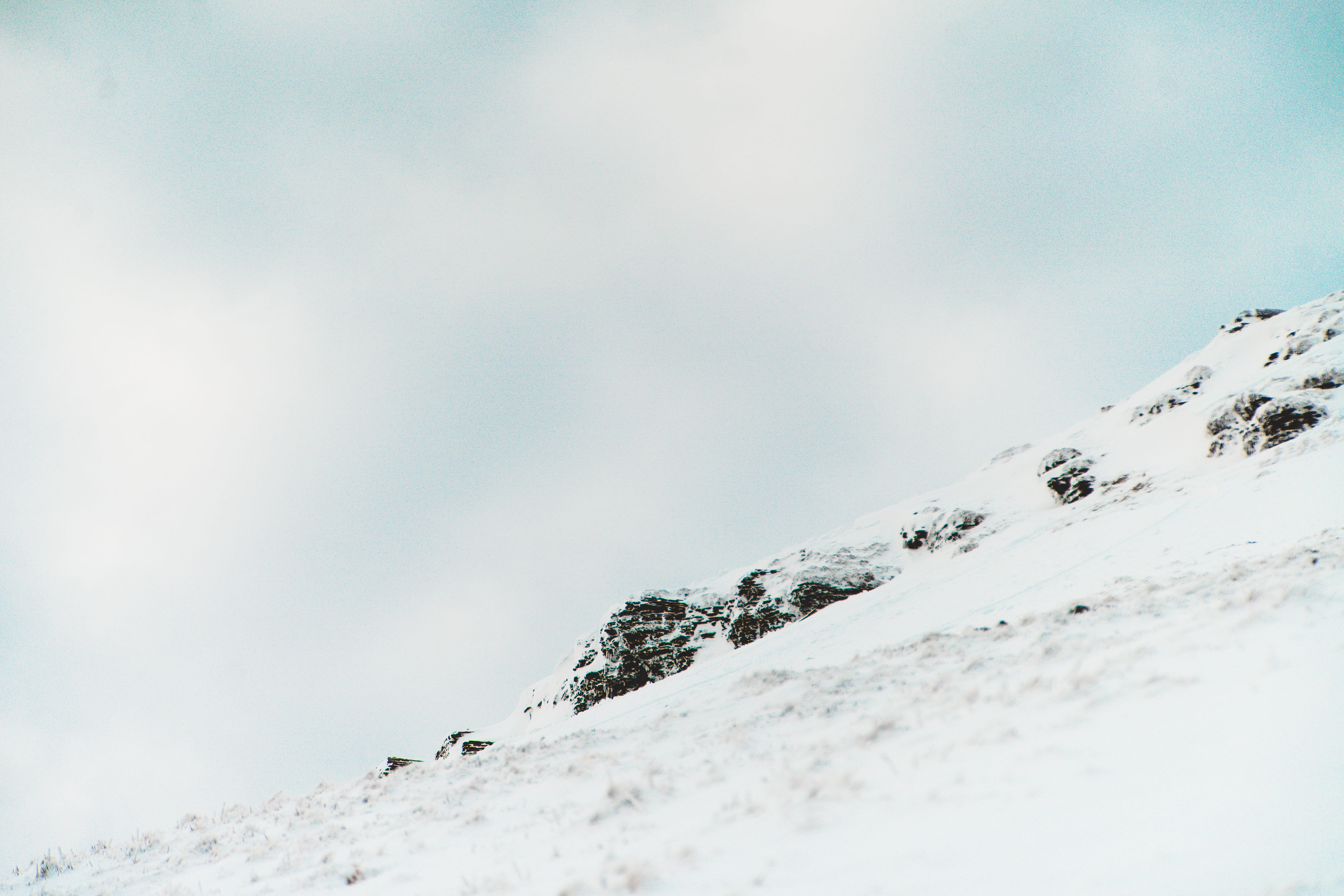 environment, ice, mammal, mountain range, leisure activities, grouse, nature, tranquility, no people, slope, banister, snowboarding, cold temperature, piste, HD Wallpaper