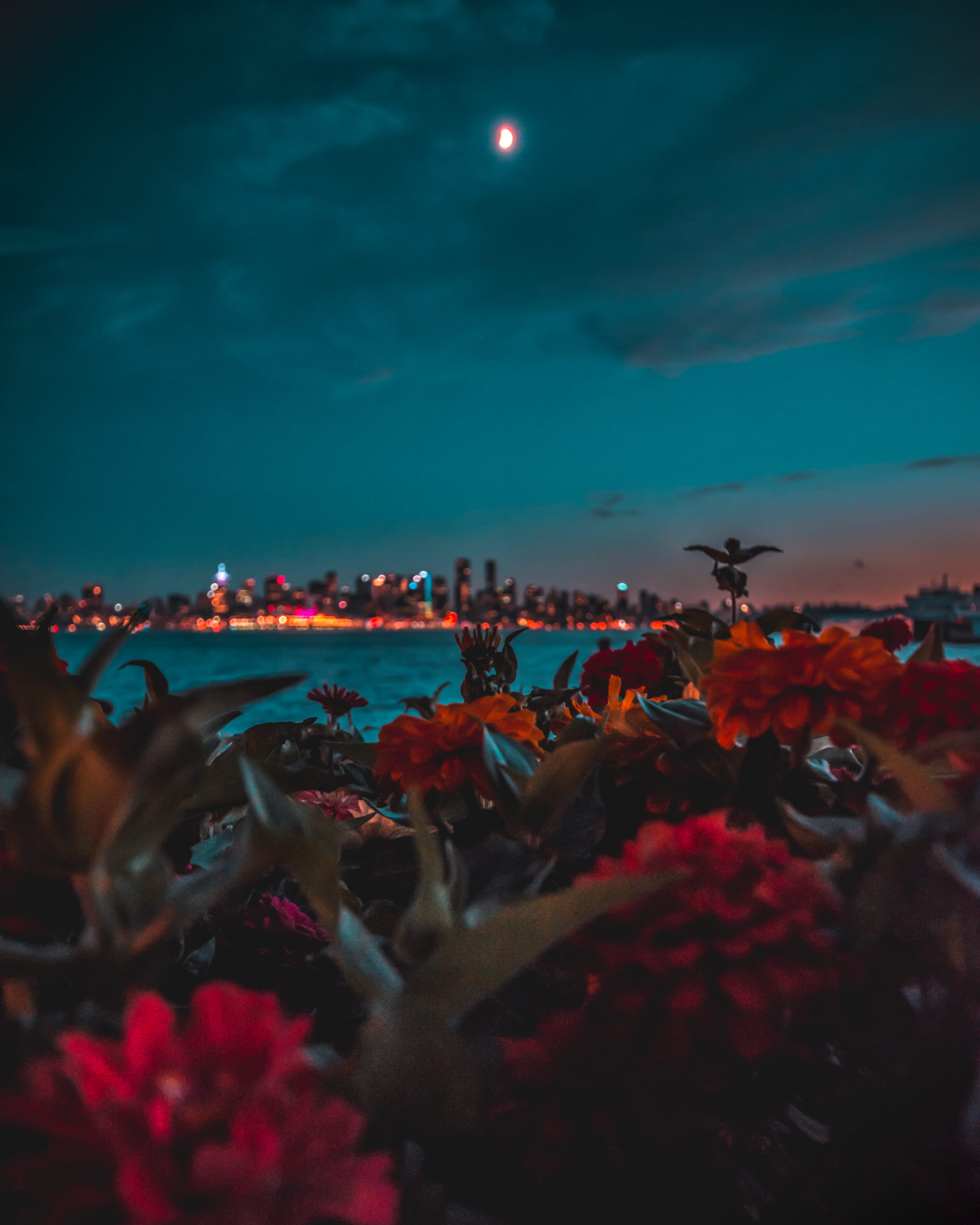 canada, dusk, illuminated, outdoors, cloud - sky, moon, architecture, north vancouver, built structure, flowers, red, sea, flowering plant, vancouver, water, Phone HD Wallpaper