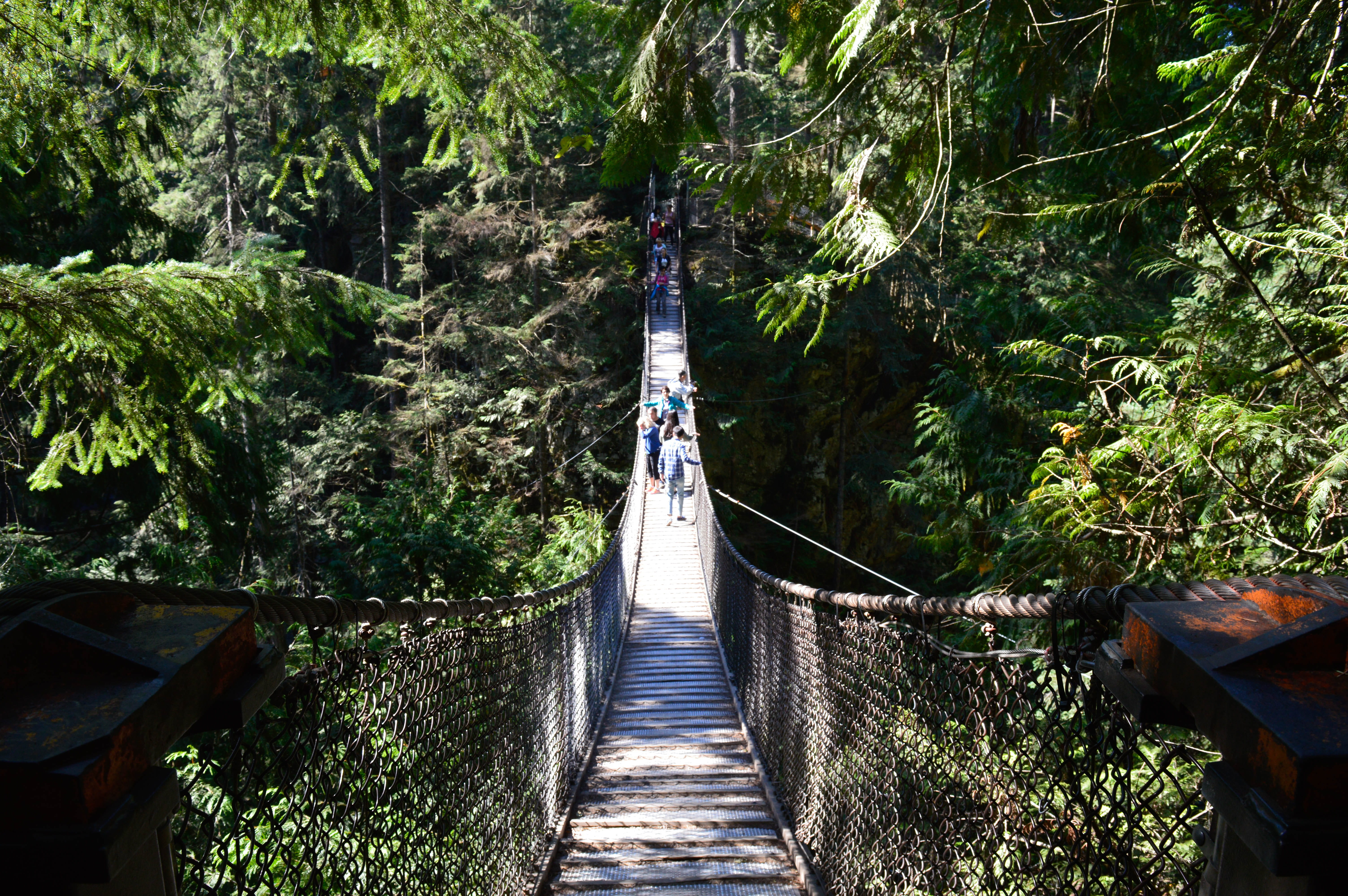 footbridge, bridge - man made structure, outdoors, north vancouver, bridge, land, lynn canyon, nature, built structure, growth, architecture, plant, beauty in nature, HD Wallpaper