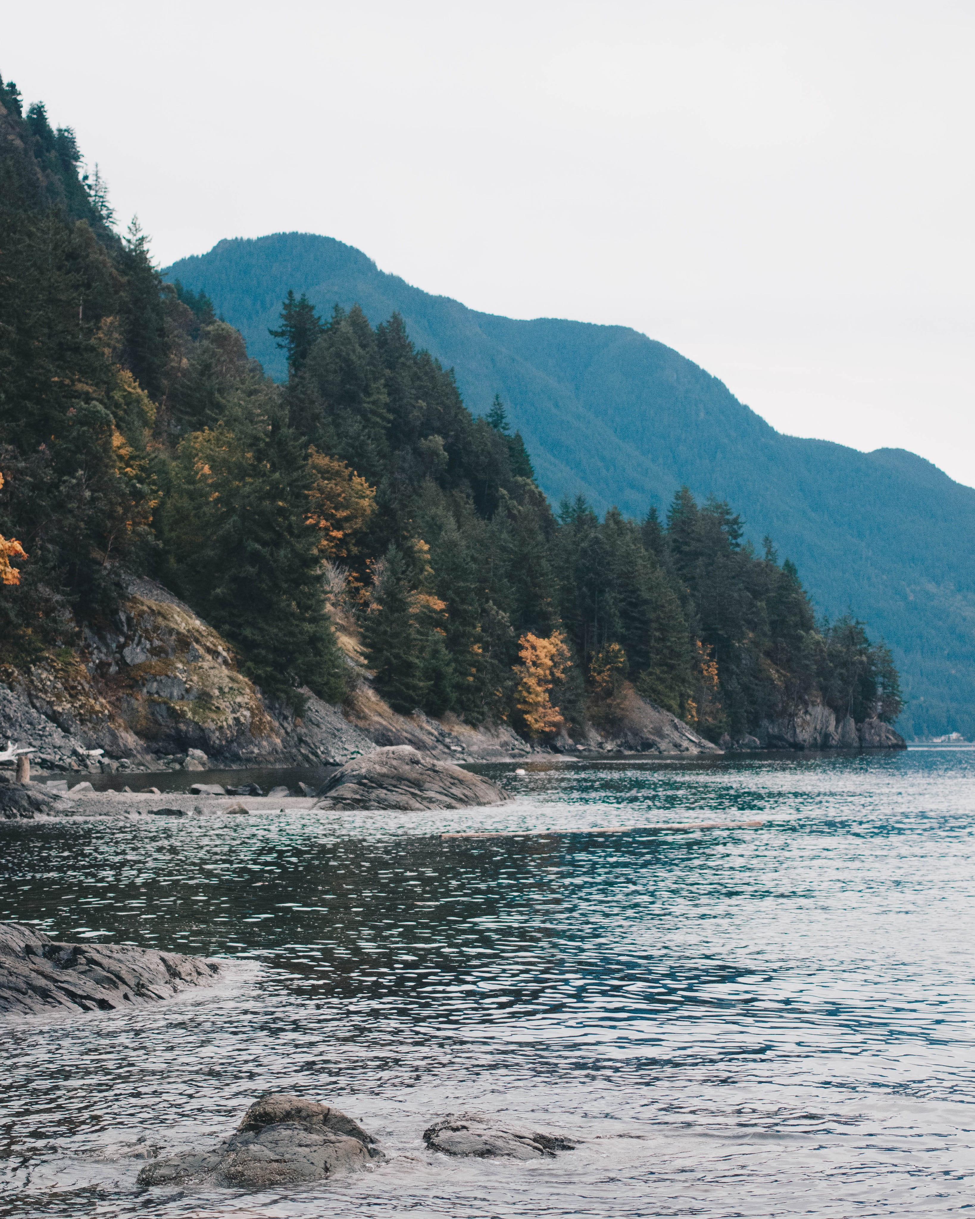 langley, day, plant, 4K, beauty in nature, rain, waterfront, idyllic, bc, sea, pacific, nature, canada, scenics - nature, layers, mountains, mountain, Phone HD Wallpaper