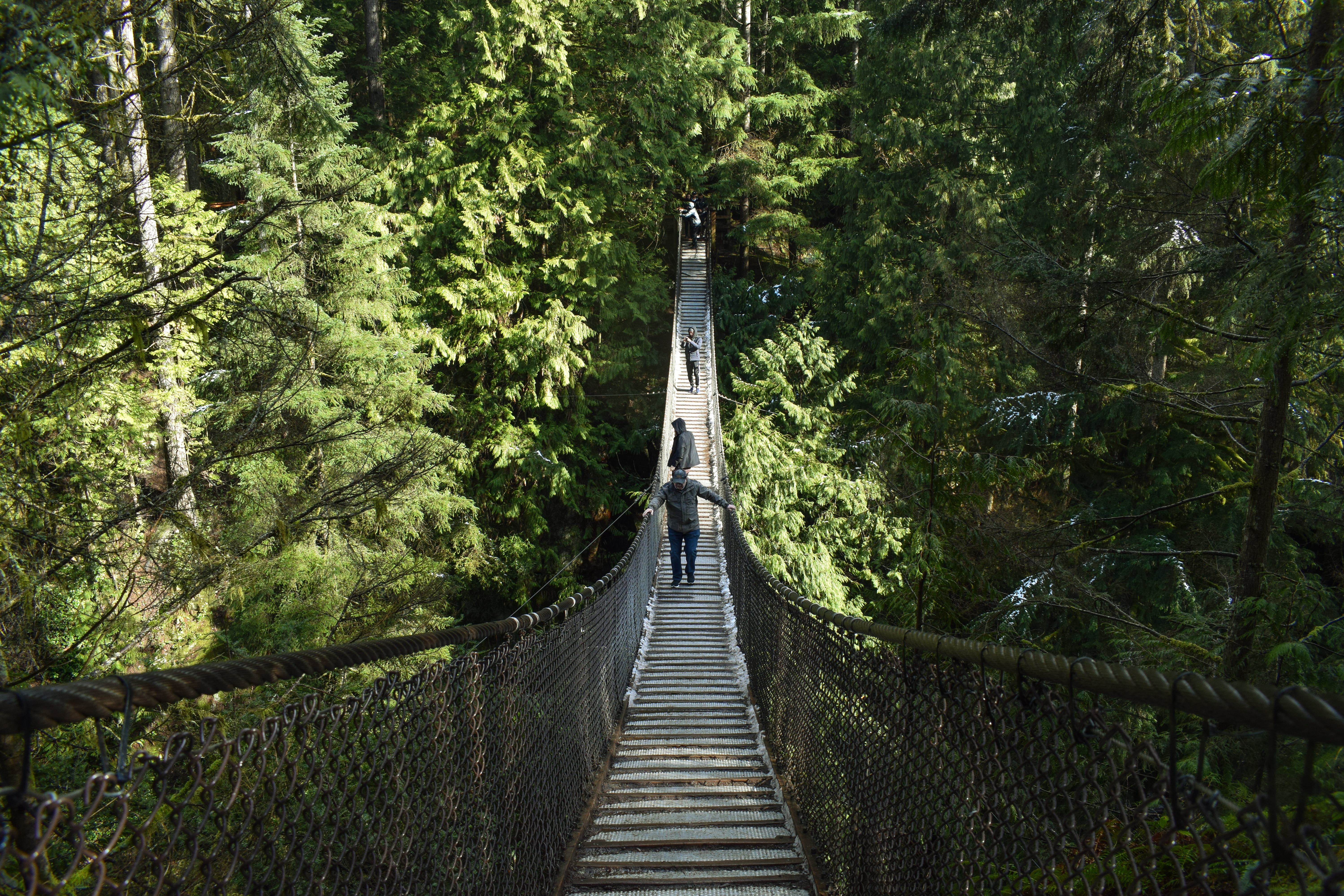 bridge - man made structure, transportation, lynn canyon, built structure, day, land, growth, diminishing perspective, green color, long, direction, beauty in nature, HD Wallpaper