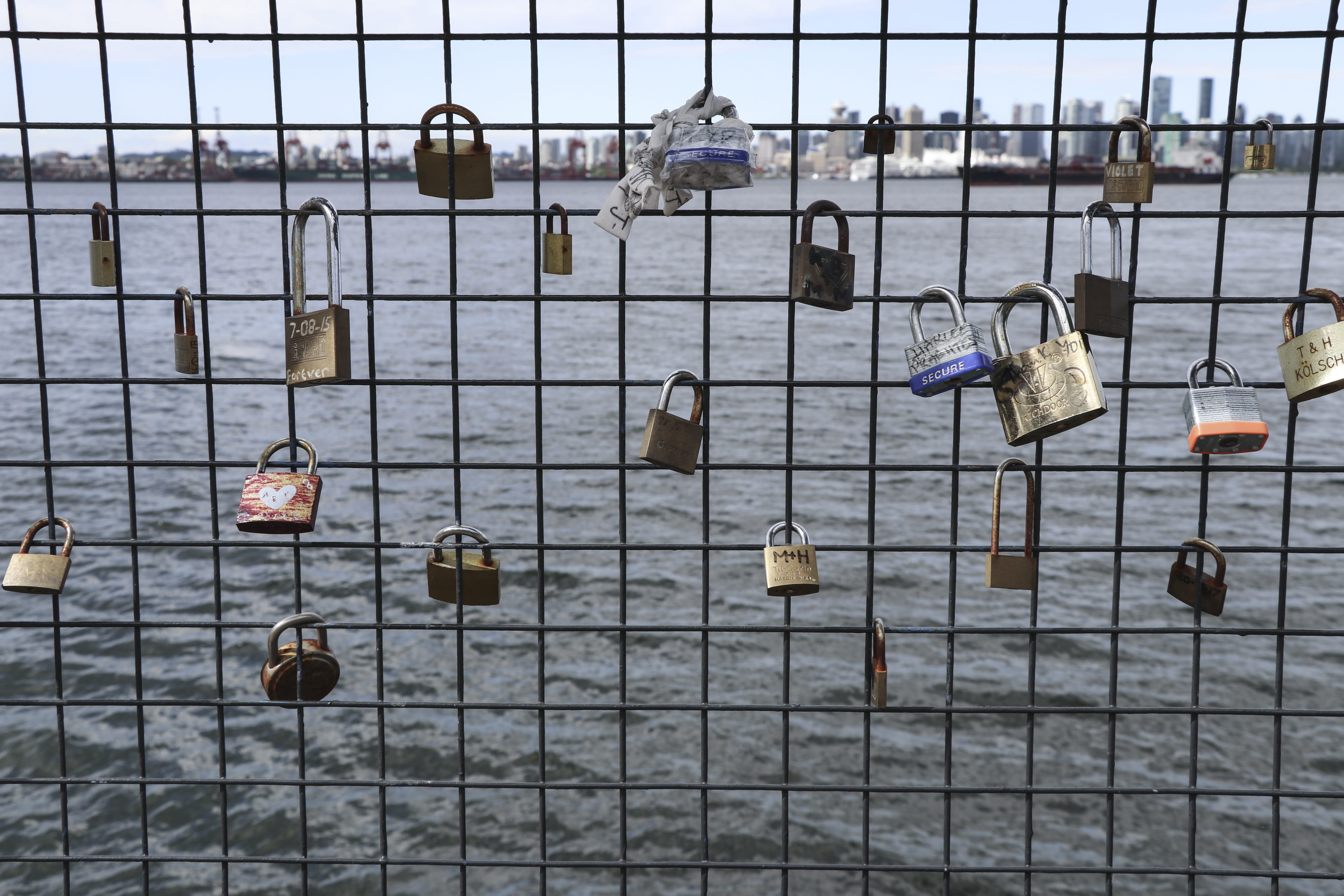 pattern, padlock, safety, fence, grid, love locks, lock, security, water, british columbia, nature, protection, hanging, outdoors, love lock, boundary, HD Wallpaper