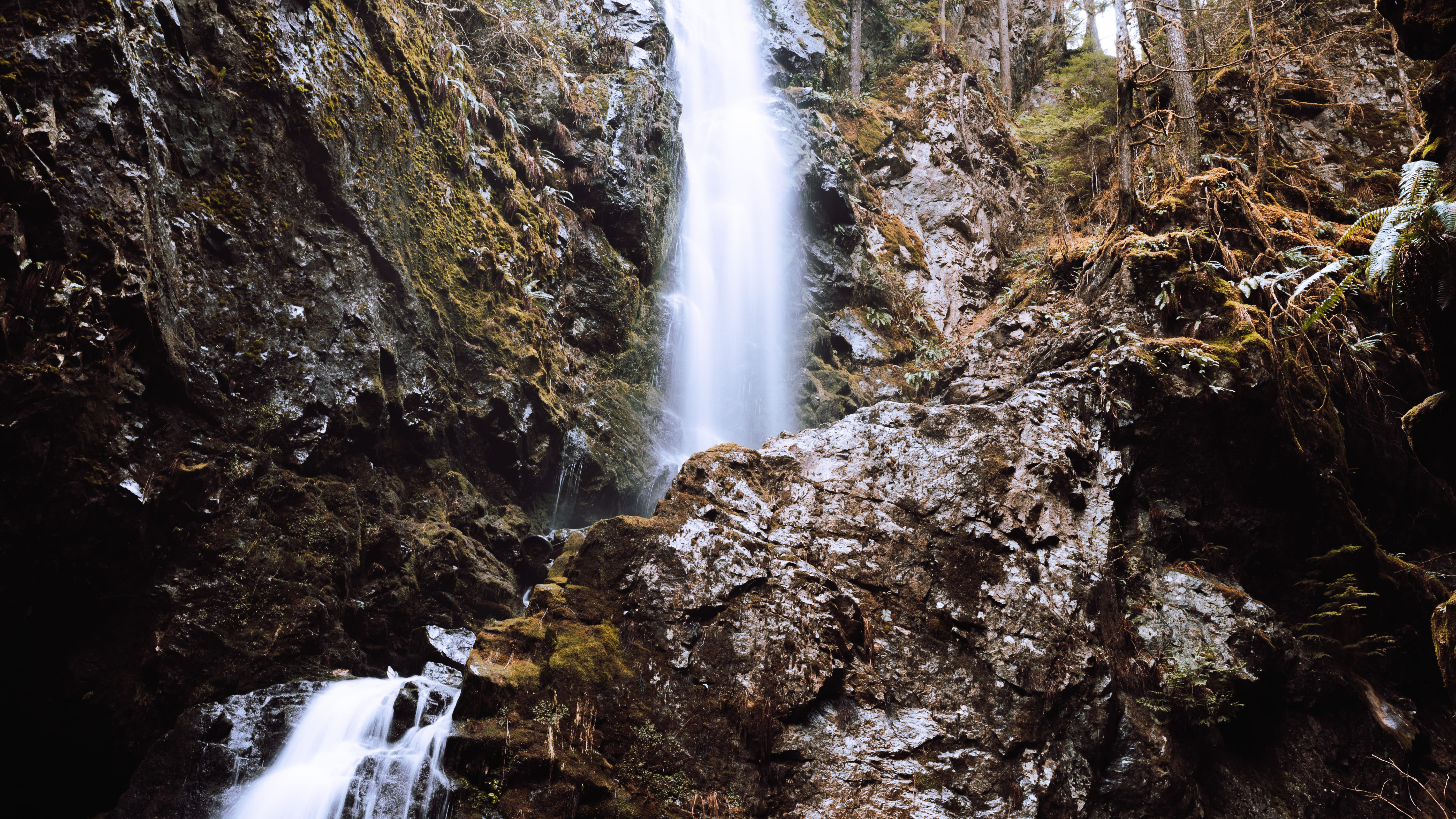 flowing, flowing water, nature, scenics - nature, nikon, power in nature, vancouver, canada, lush, north vancouver, rock - object, forest, water, HD Wallpaper