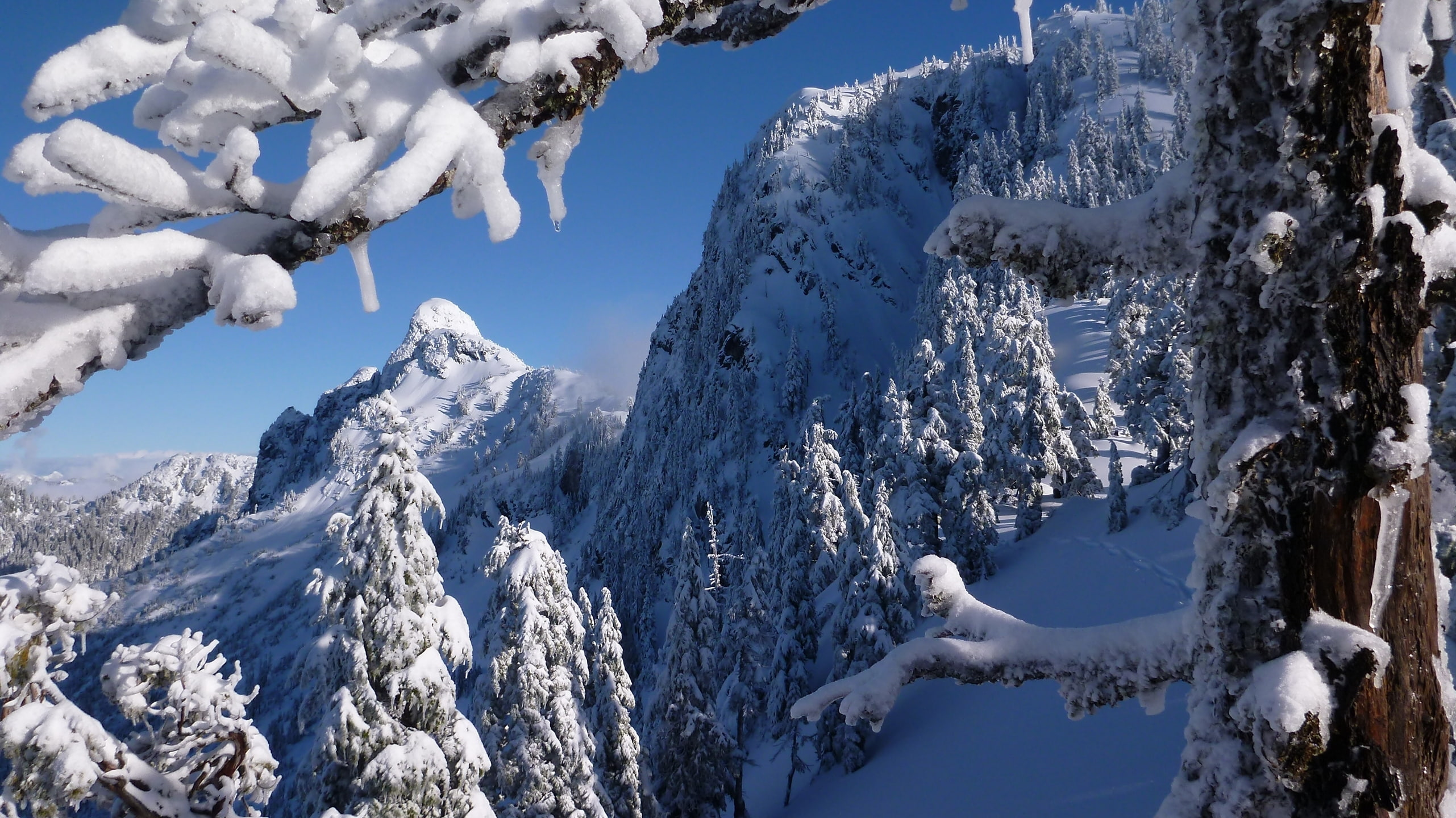 North Shore Mountains, winter, Canada, Vancouver, the mountains of the North shore, mountains, trees, 2K, British Columbia, HD Wallpaper