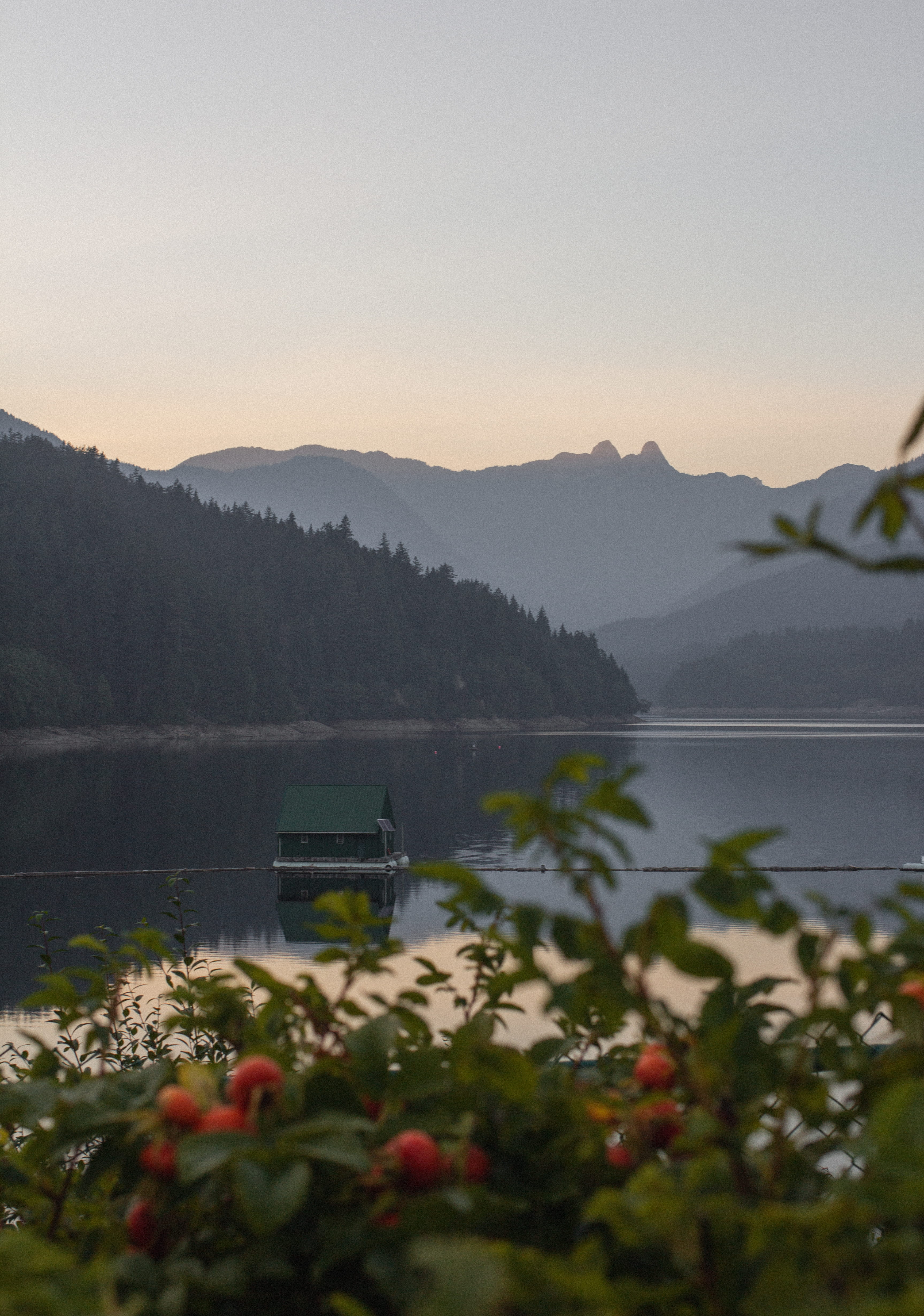 canada, no people, outdoors, non-urban scene, lions, lake, sky, north vancouver, water, peak, beauty in nature, sunset, cleveland dam, promontory, plant, Phone HD Wallpaper