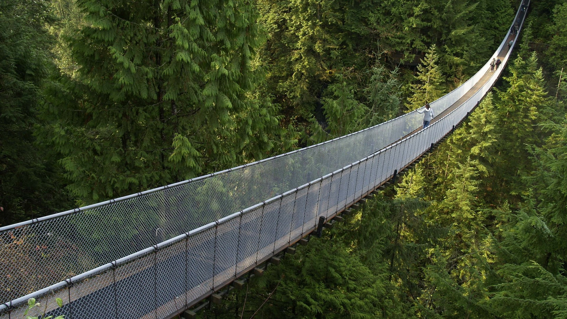 land, no people, green color, foliage, fuel and power generation, built structure, bridge, lush foliage, outdoors, nature, growth, day, capilano river, HD Wallpaper