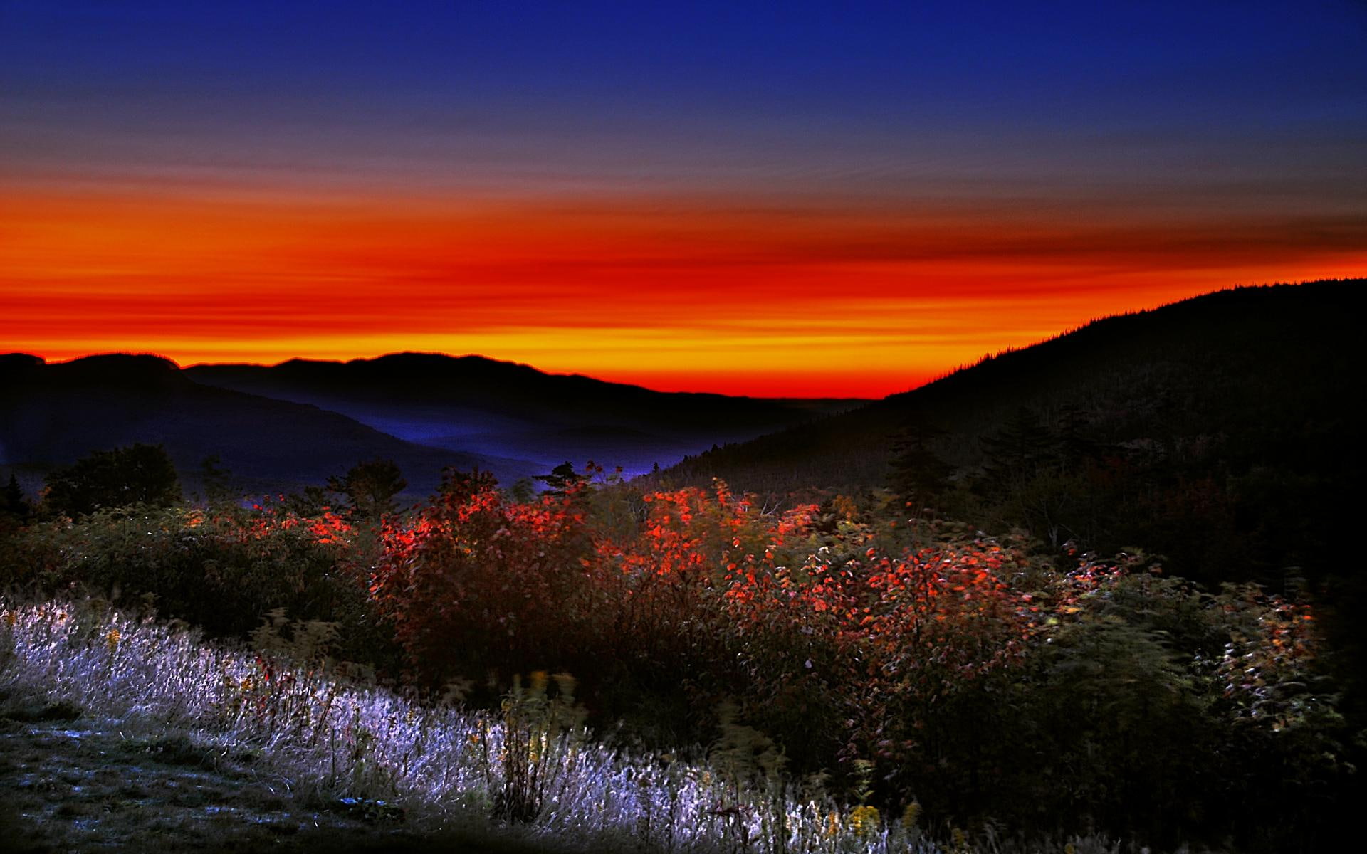 light, 1080P, 3d and abstract, plants, hour, sunset, mountain, magic, HD Wallpaper