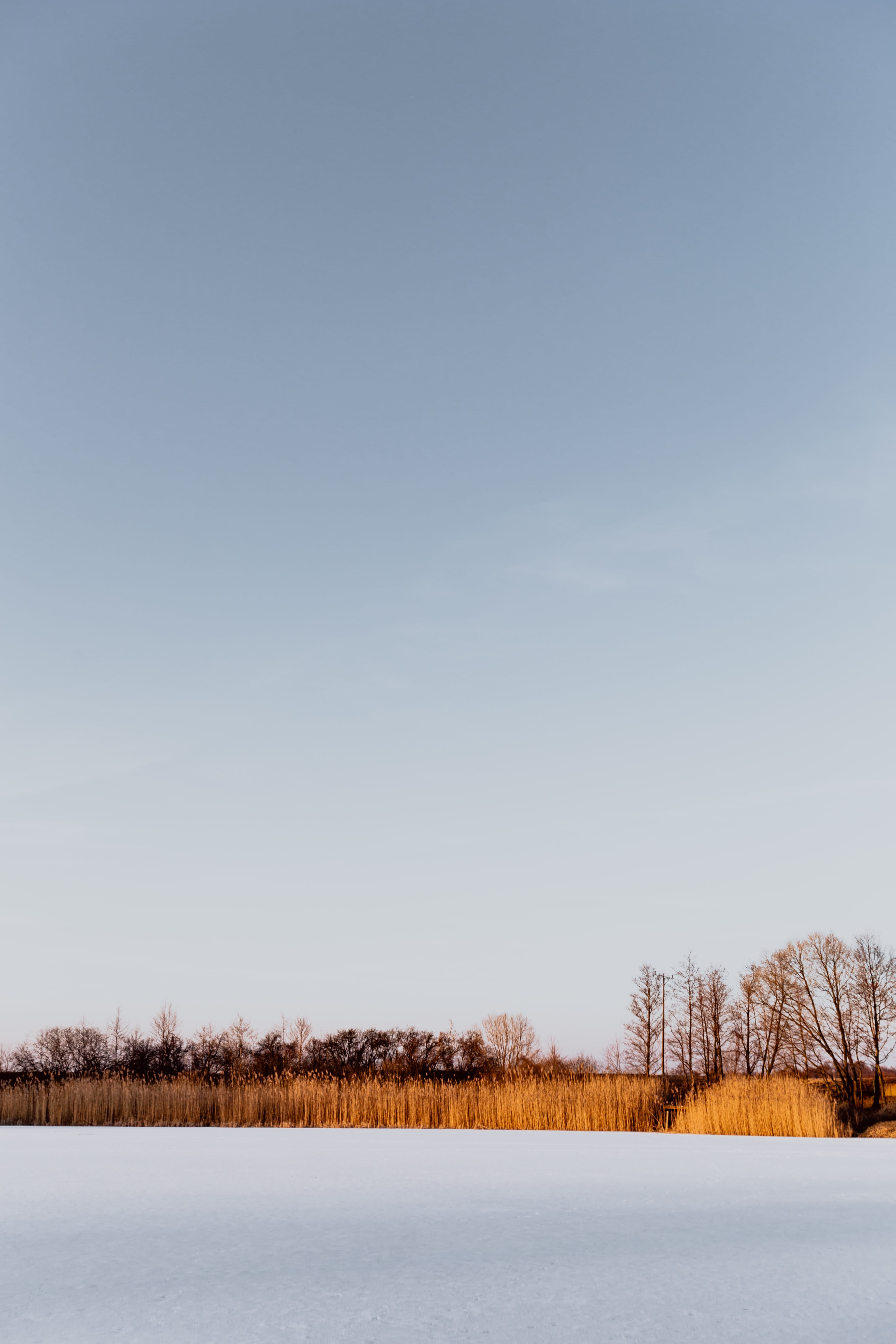 landscape, land, nature, 5K, environment, middle, sky, copy space, tree, tranquility, scenics - nature, snow, magic hour, outdoors, non-urban scene, lake, Phone HD Wallpaper