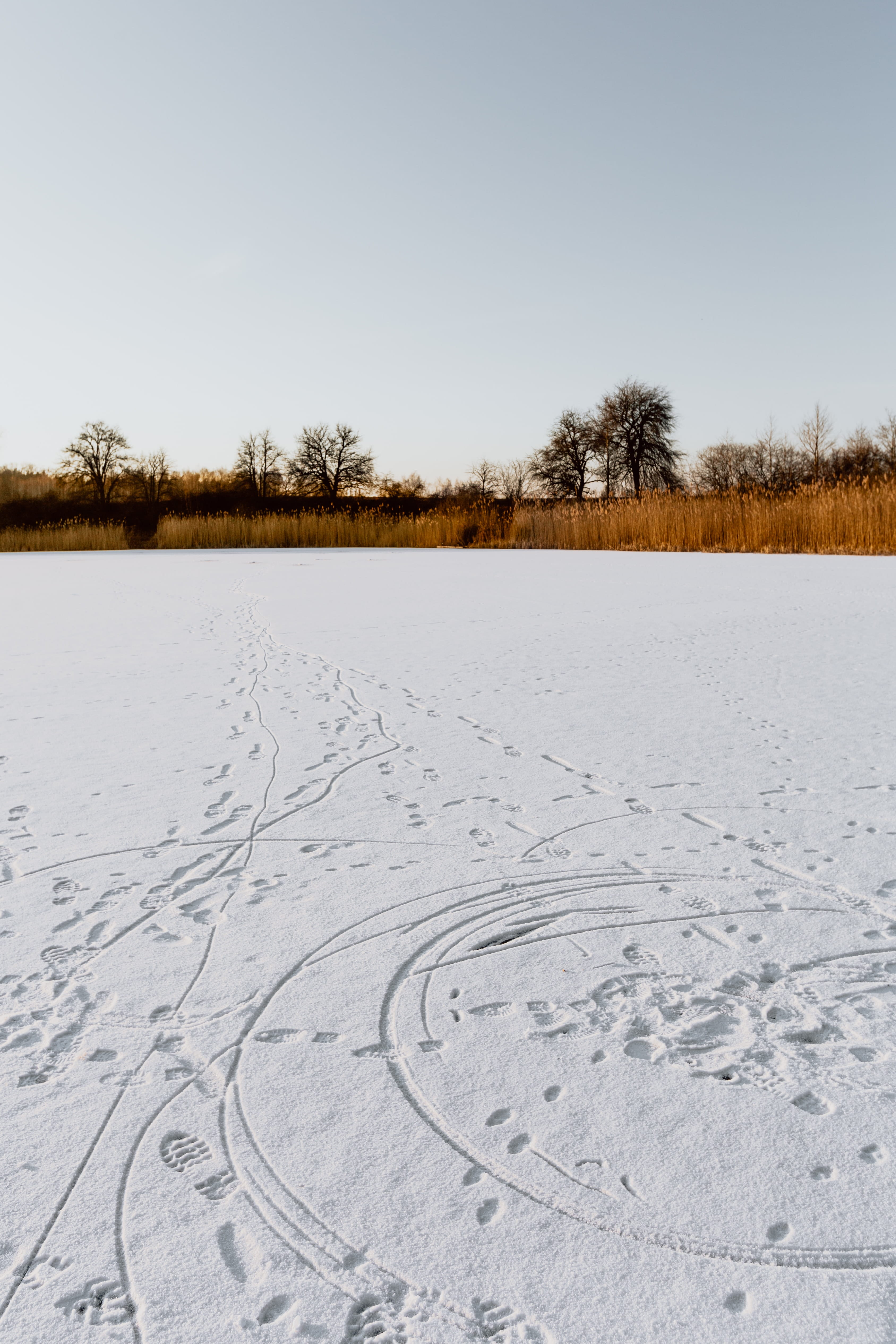 cold temperature, sky, clear sky, white color, tranquility, no people, non-urban scene, frozen, land, beauty in nature, tree, lake, adventure, plant, environment, Phone HD Wallpaper